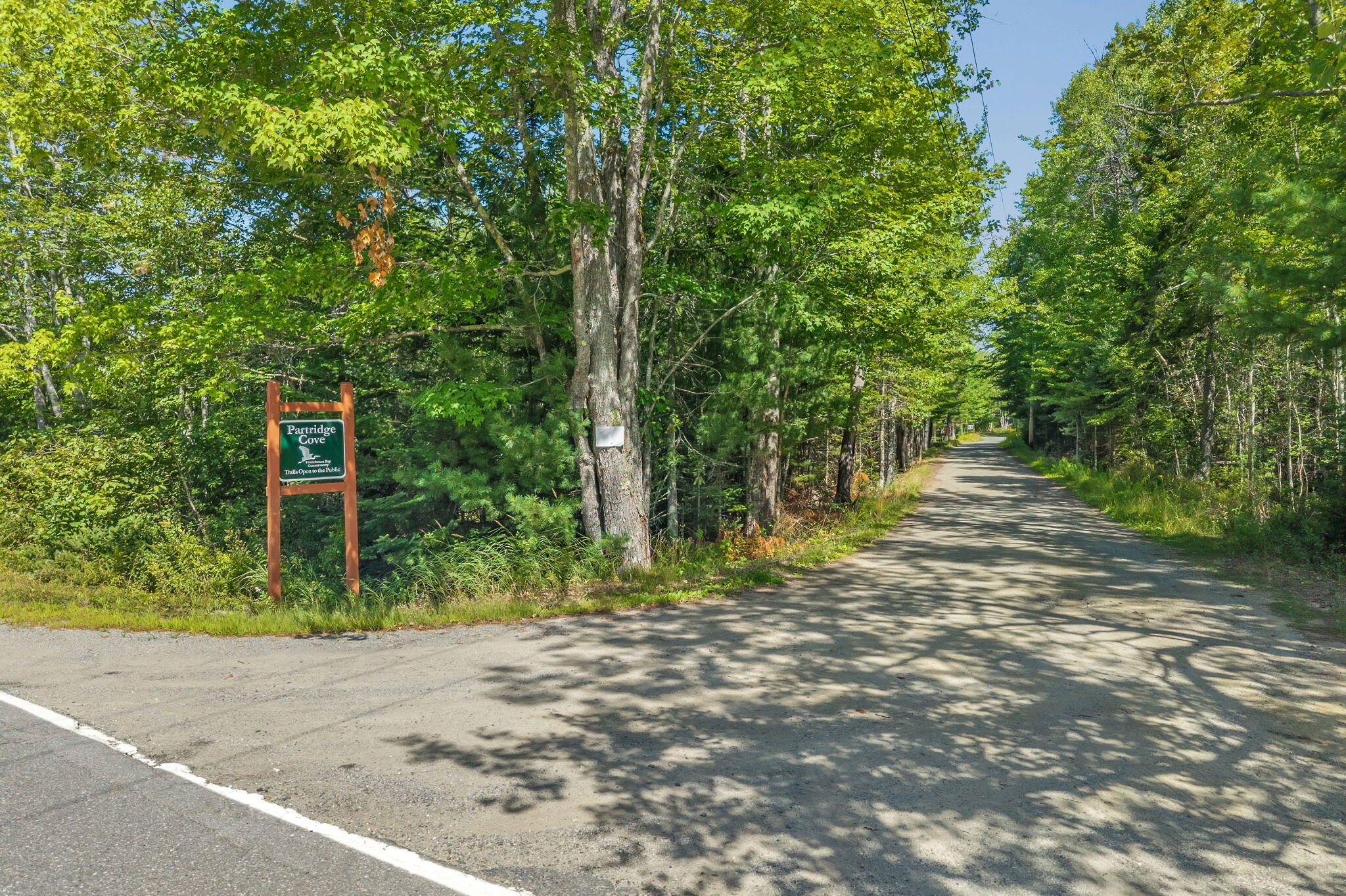 main property photo 93