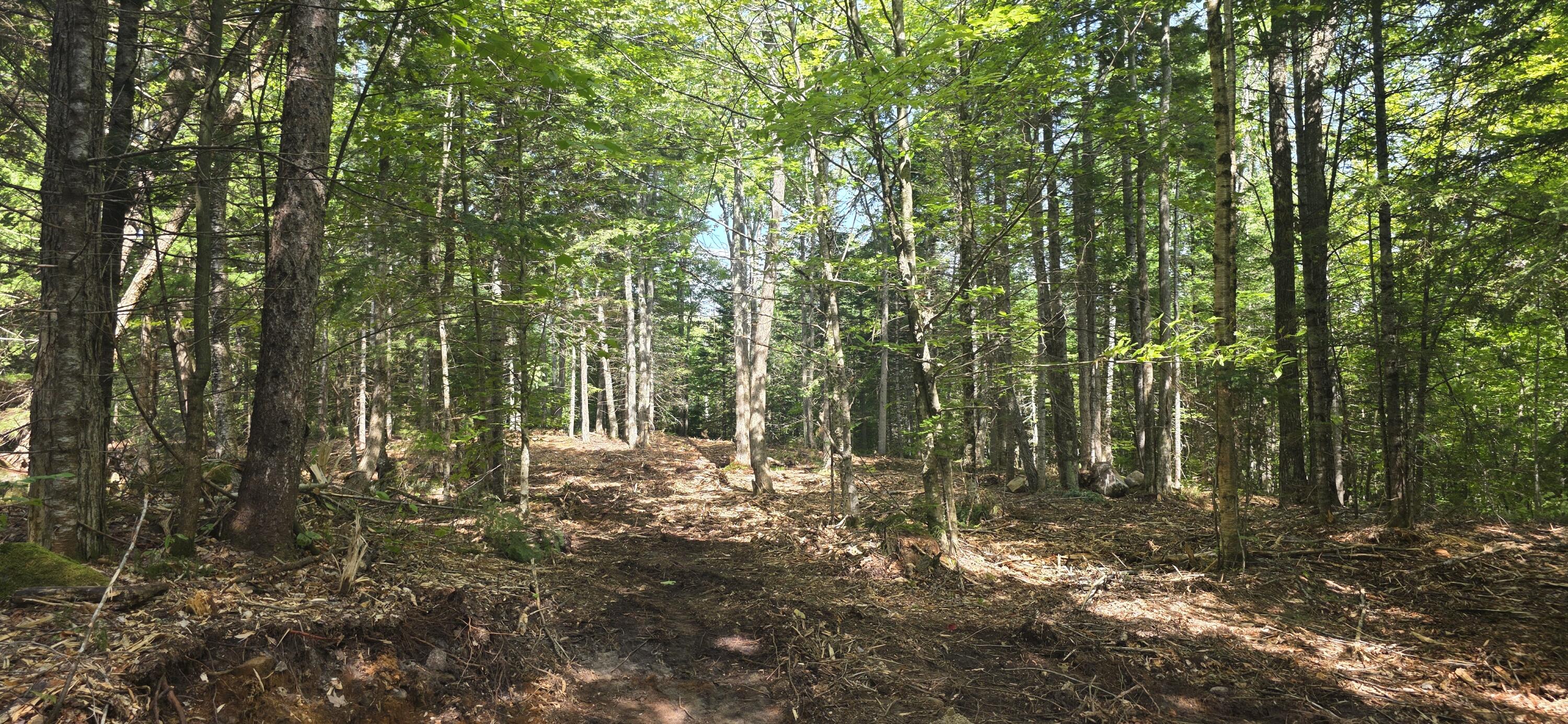 main property photo 0