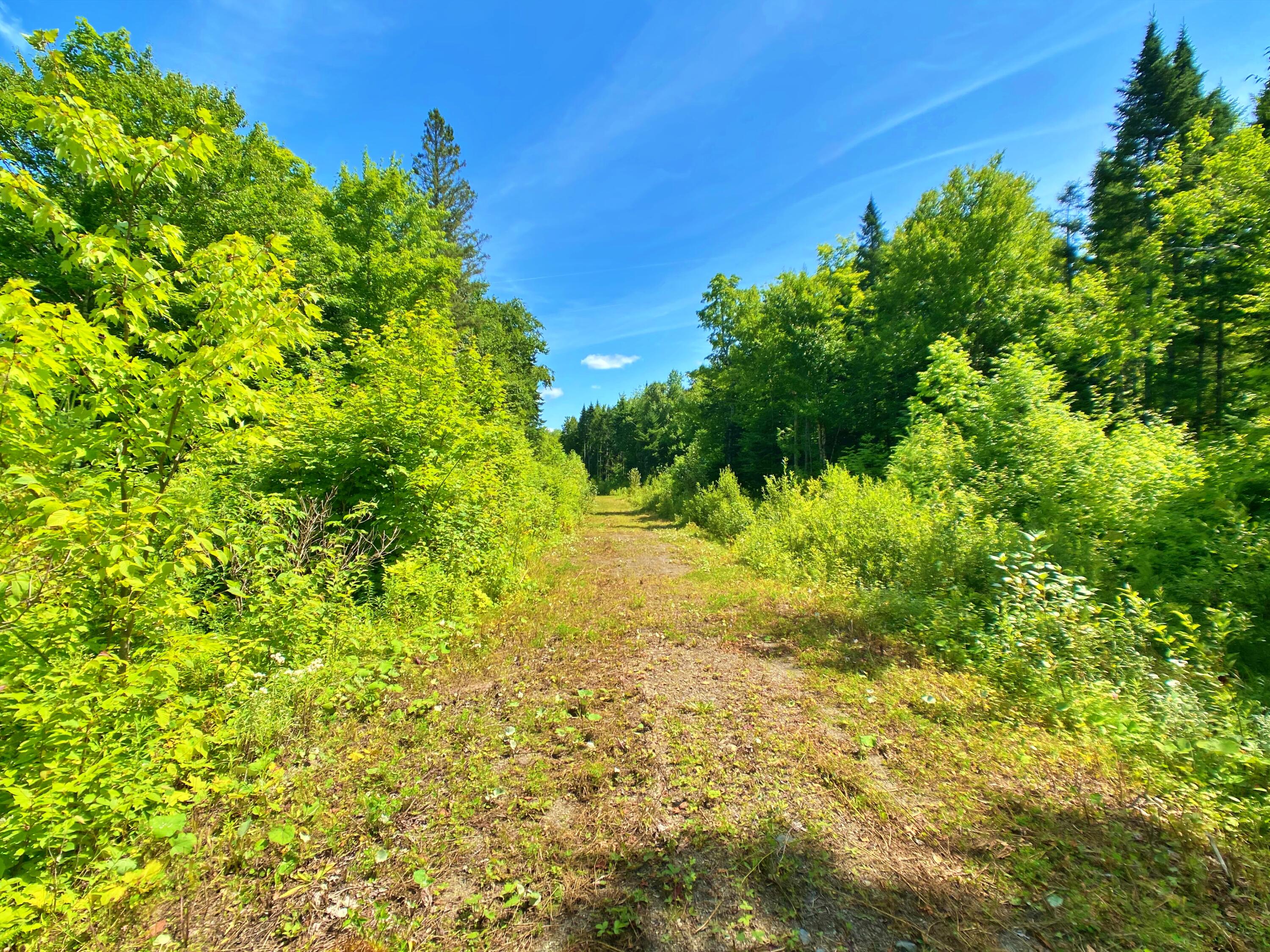 main property photo 11