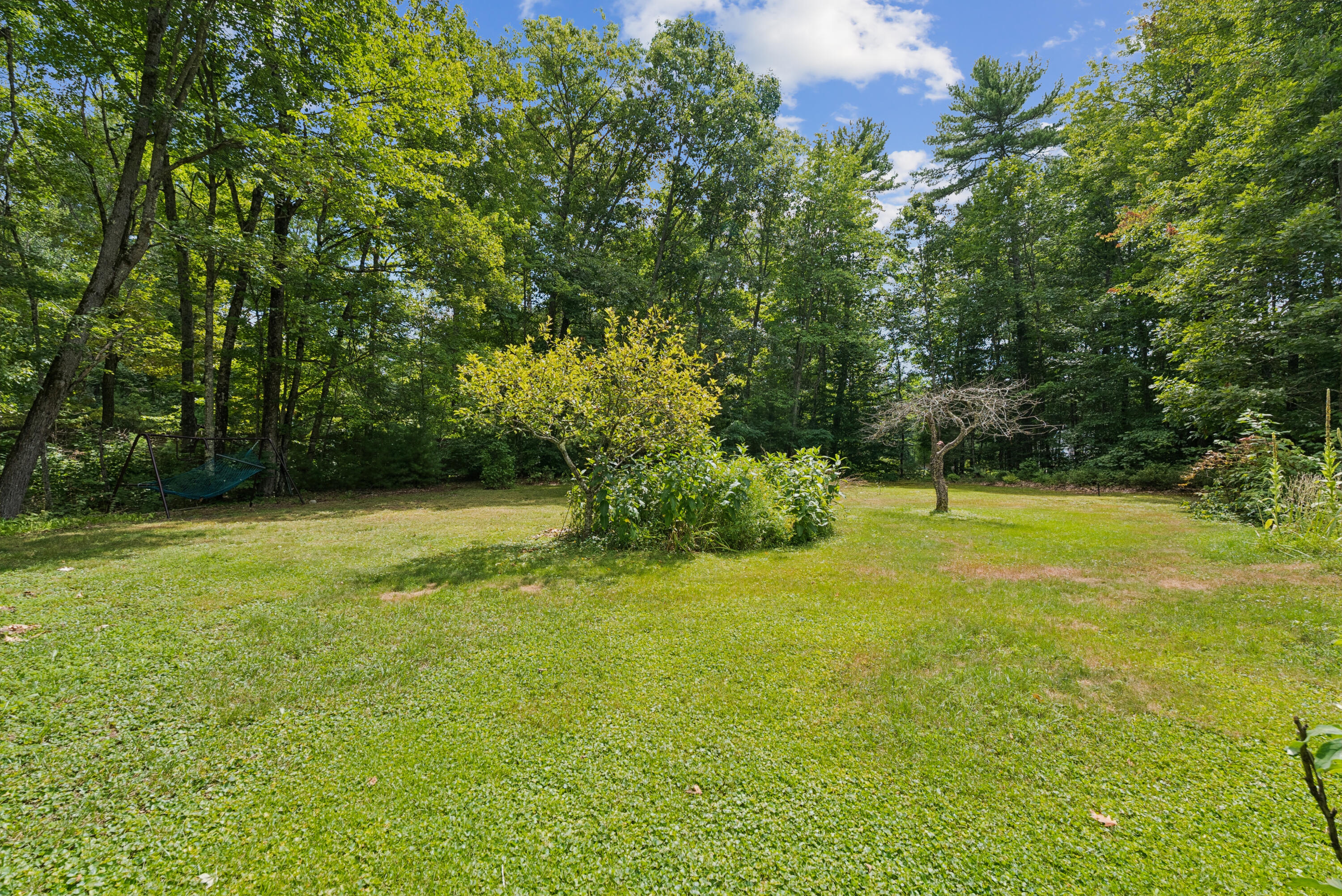 main property photo 59