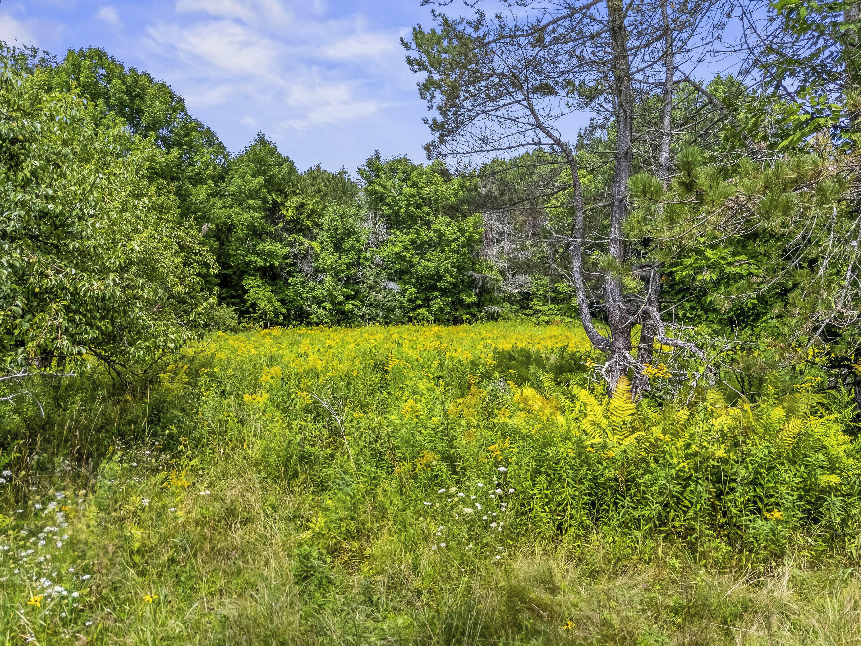 main property photo 81