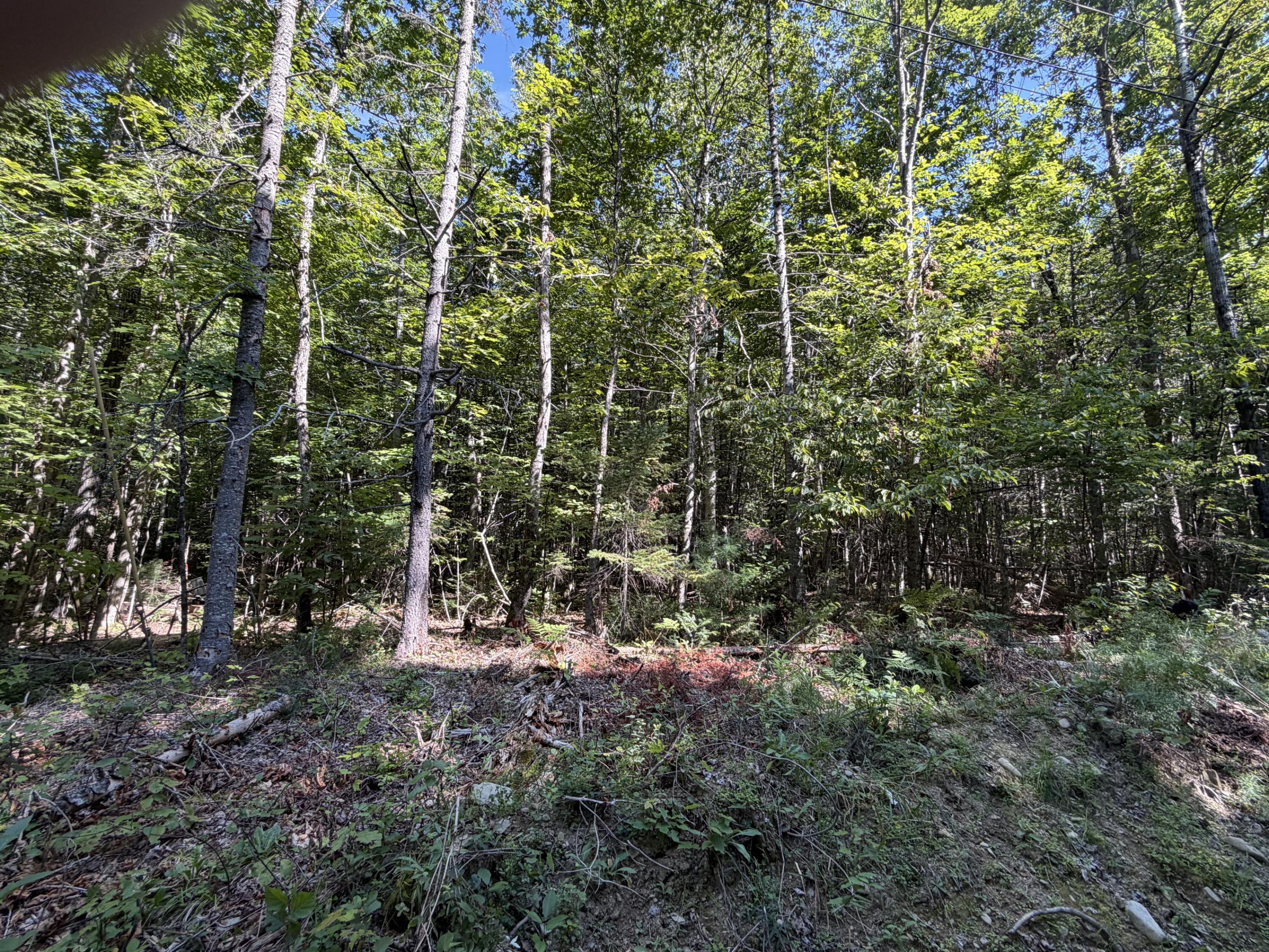 main property photo 7