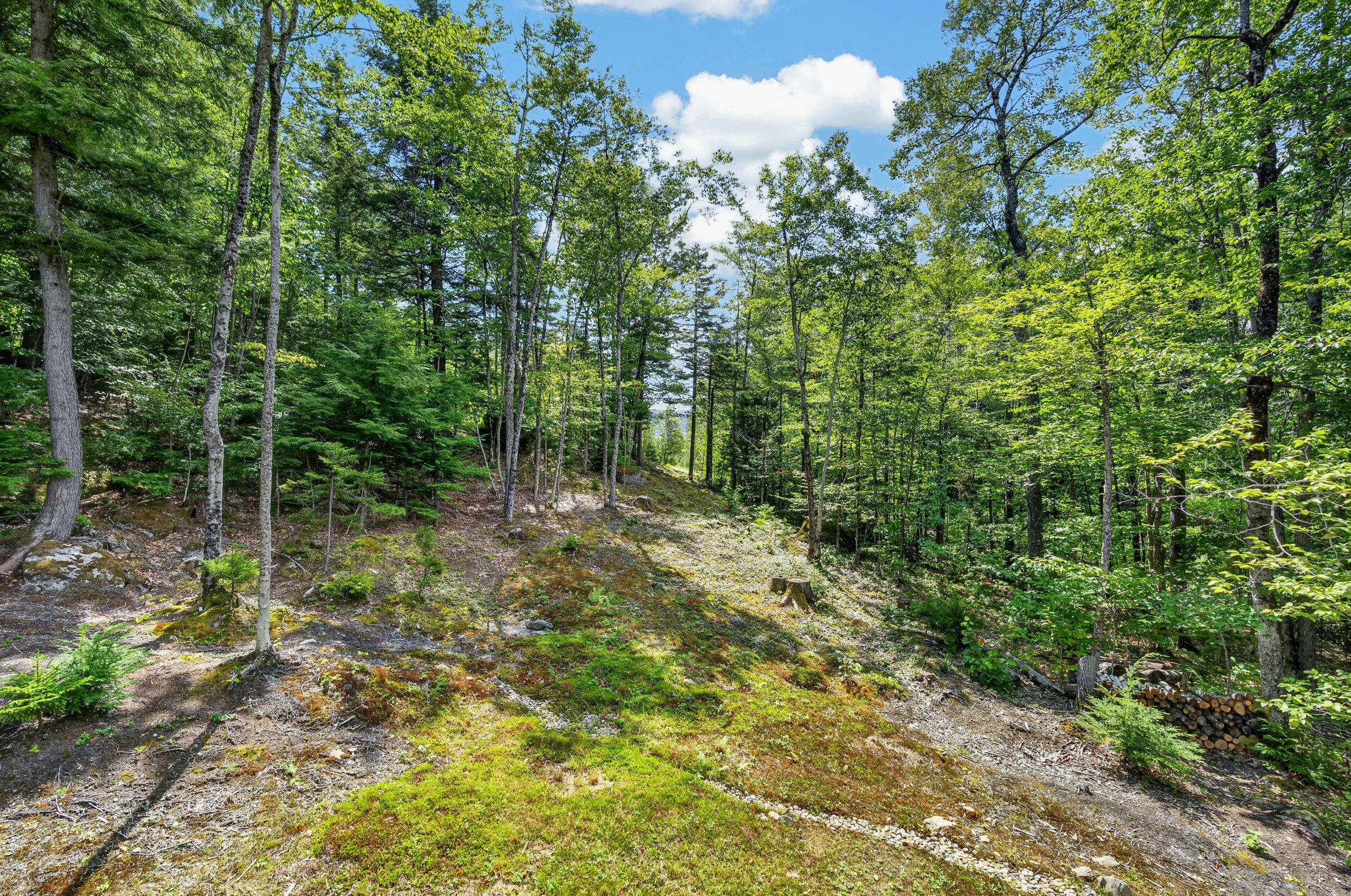 main property photo 63