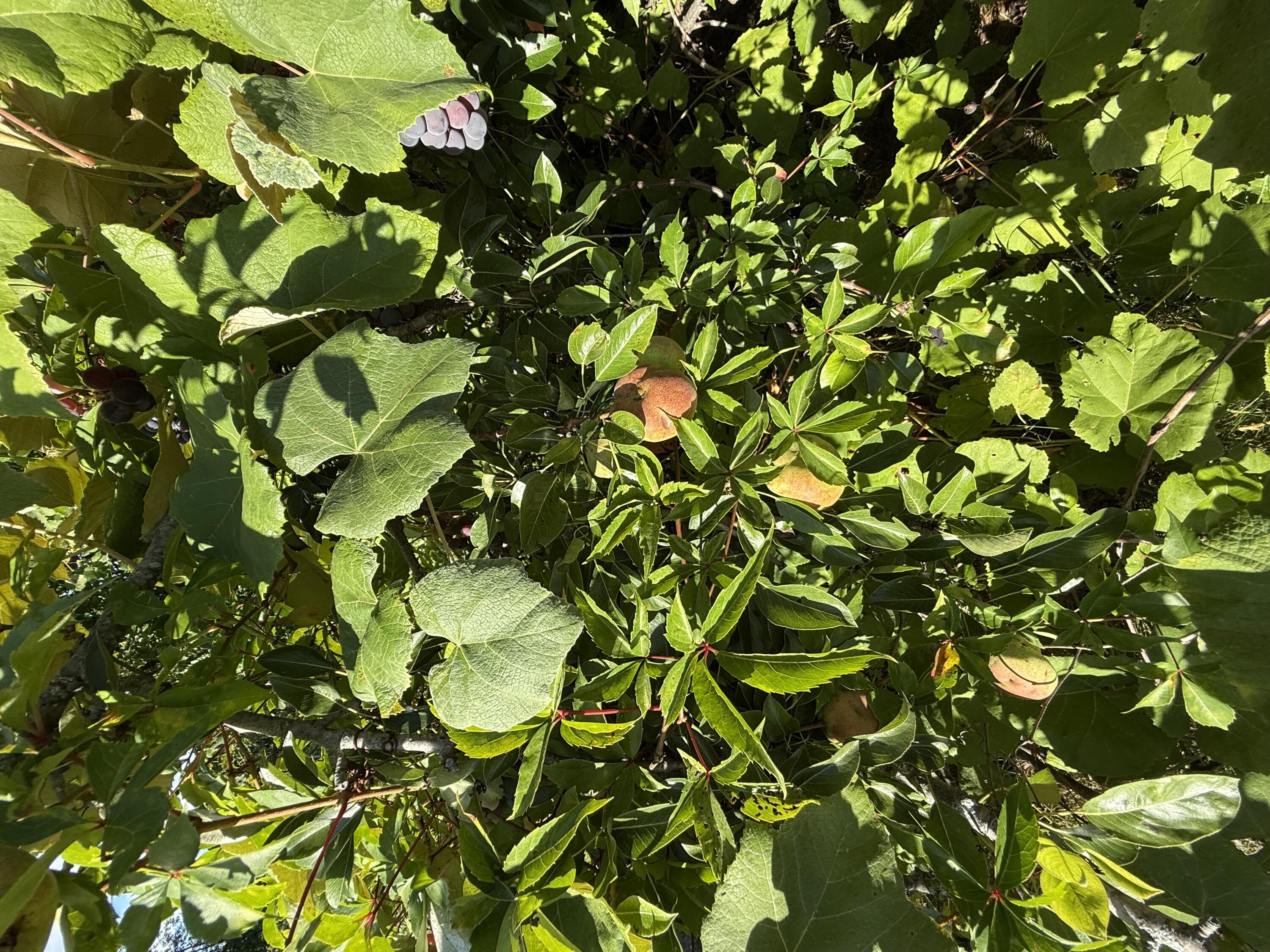 main property photo 58