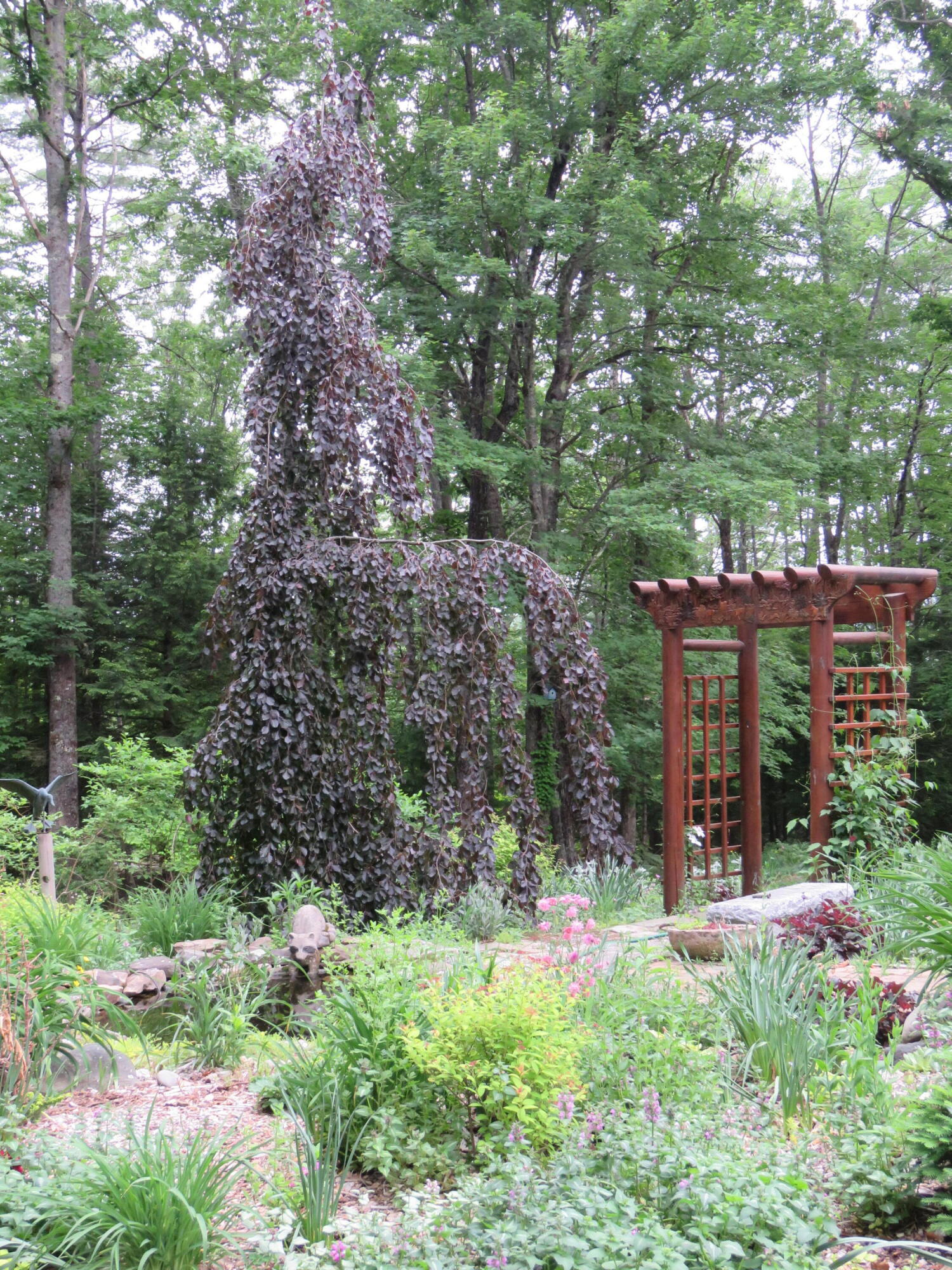 main property photo 8