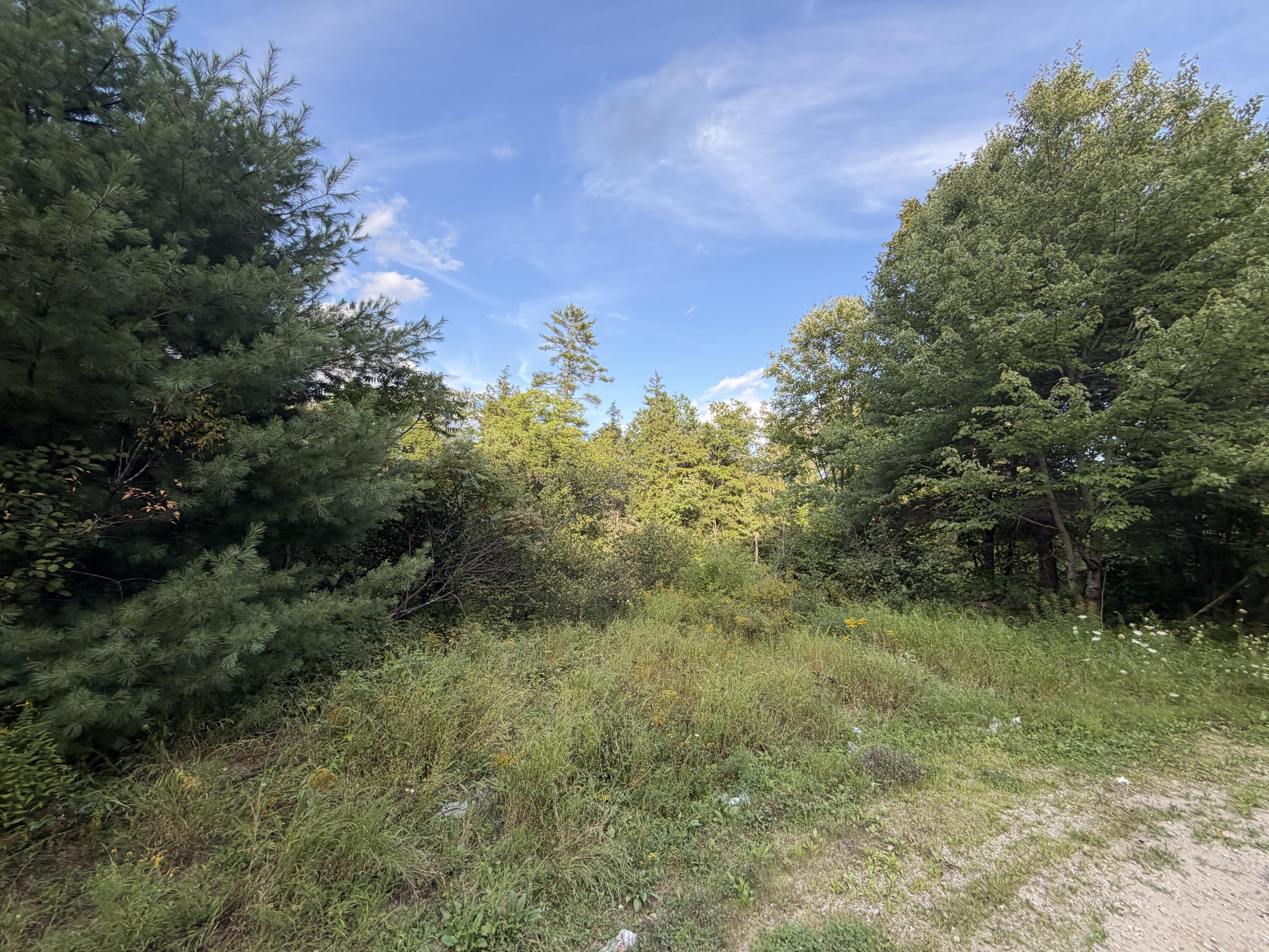 main property photo 10