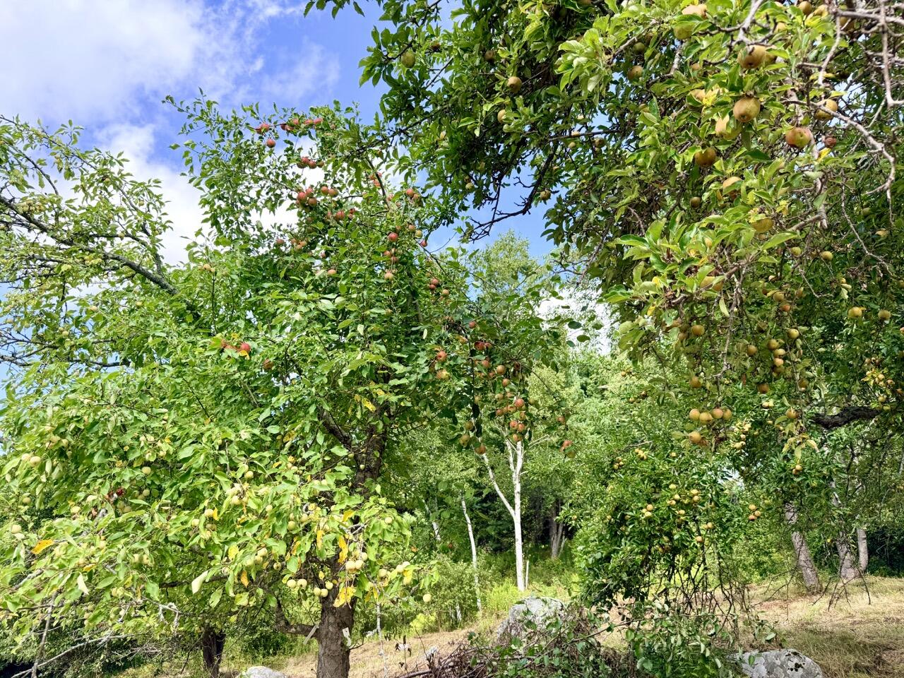 main property photo 17