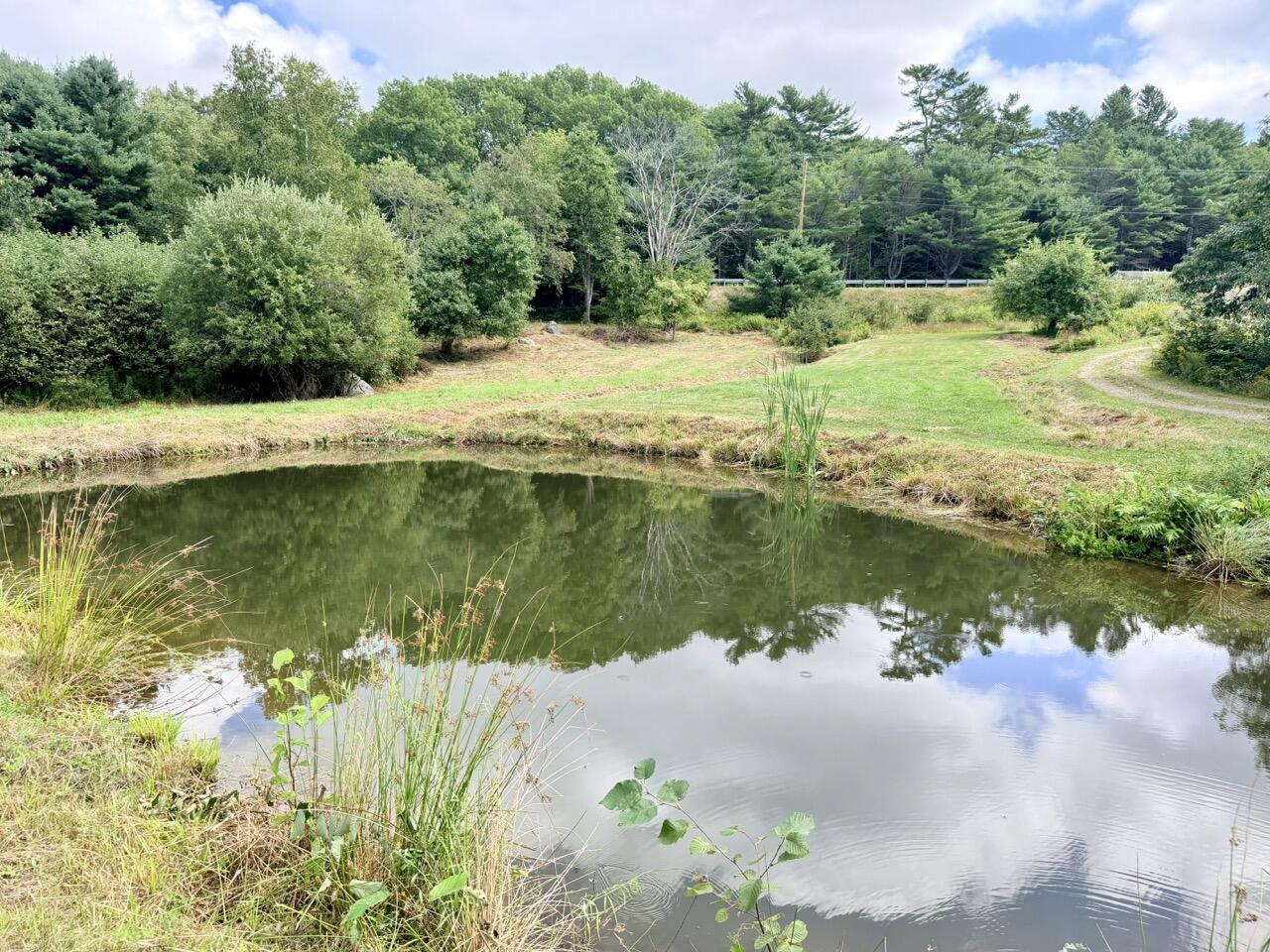 main property photo 18