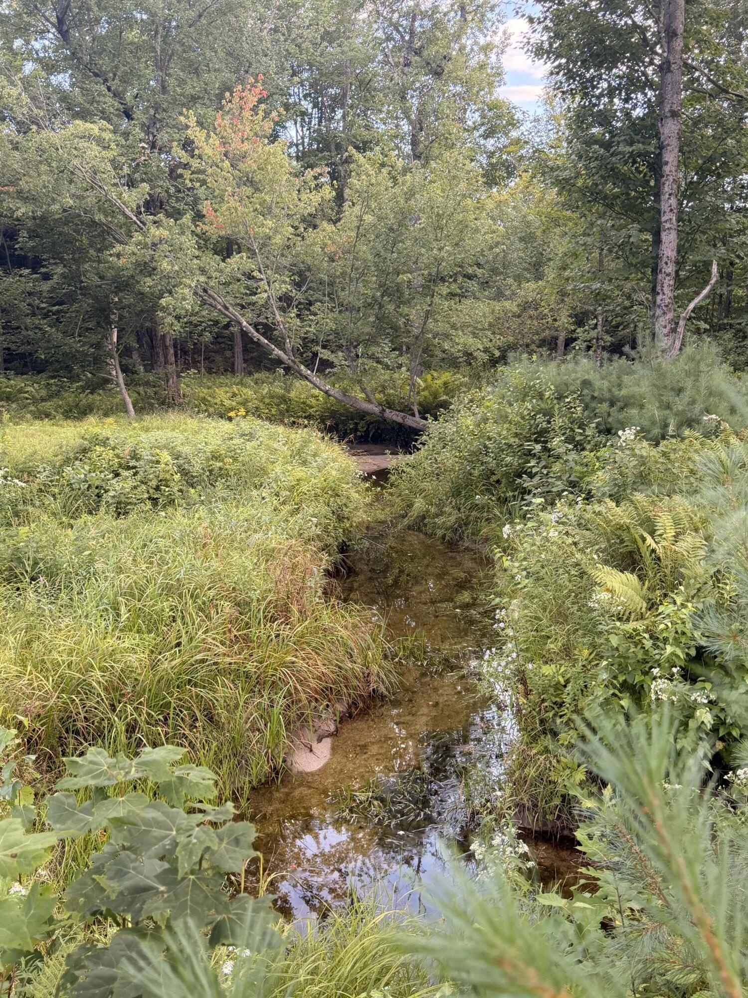 main property photo 56