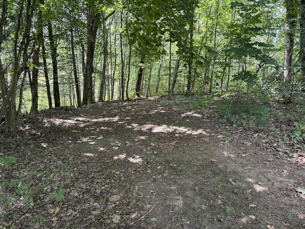 main property photo 52