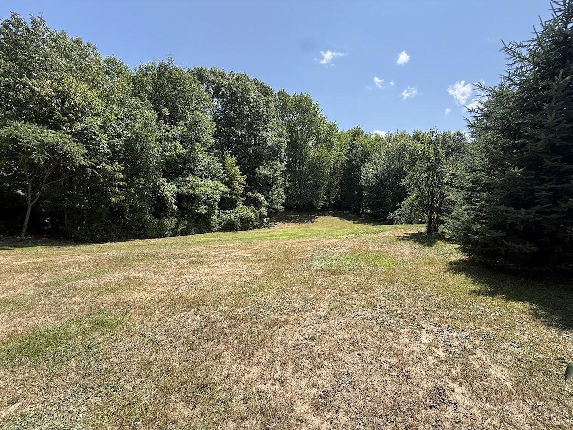 main property photo 54