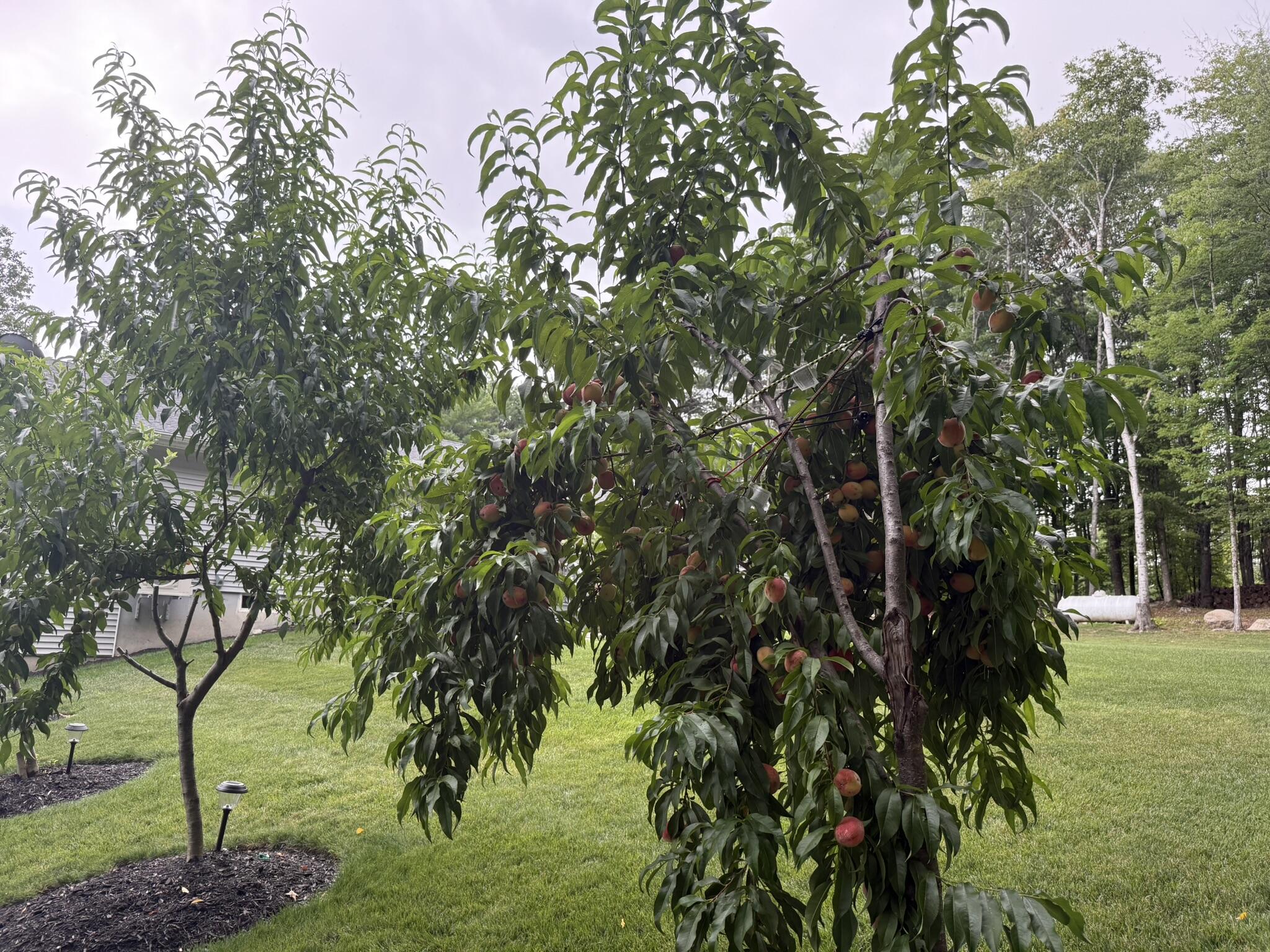 main property photo 49
