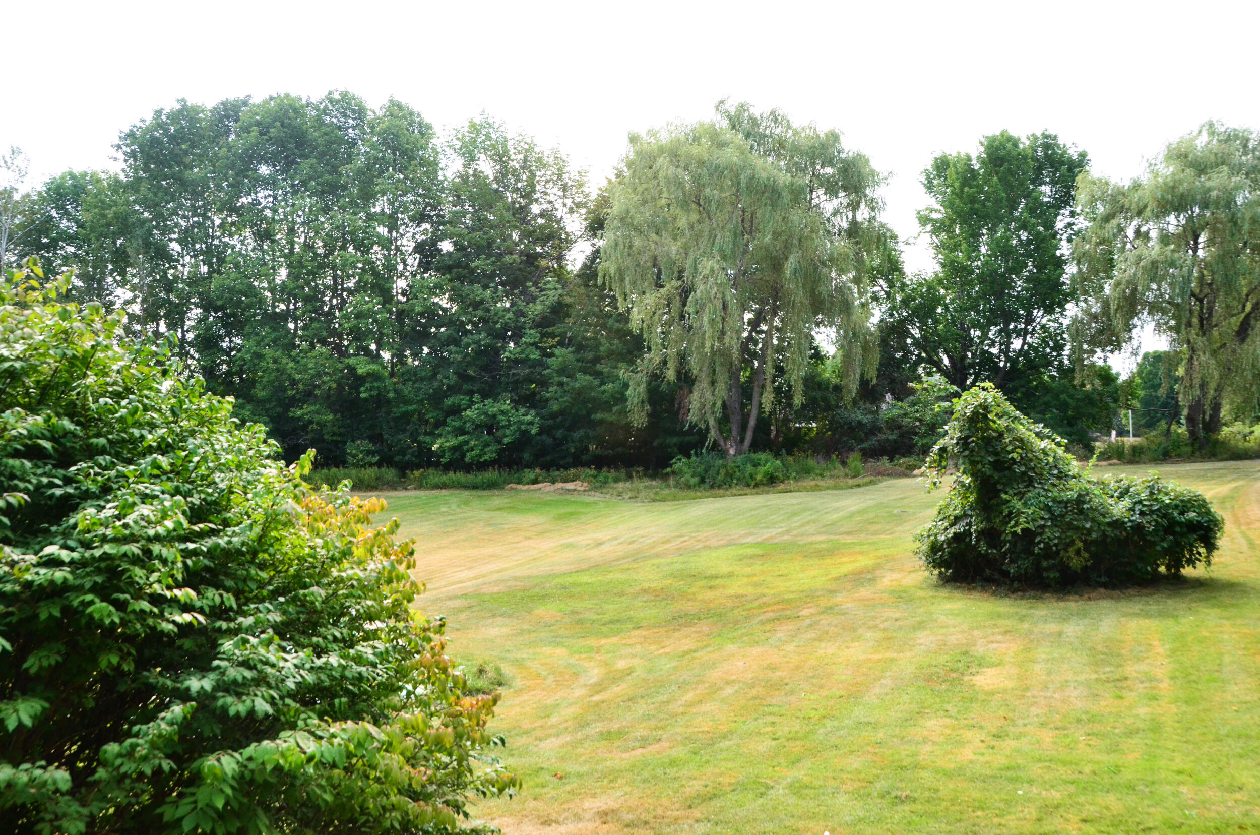 main property photo 64