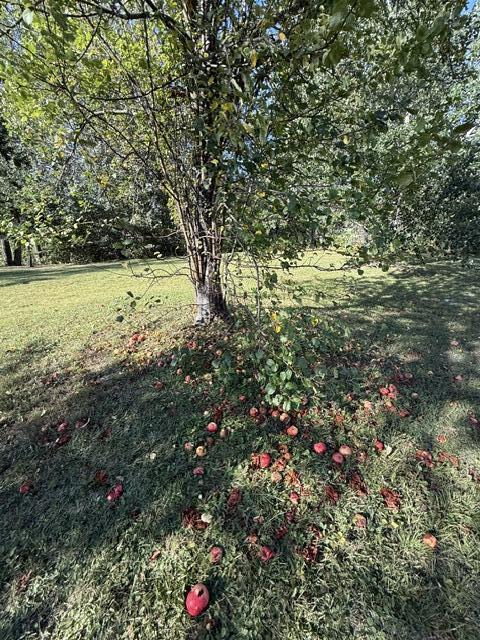 main property photo 43