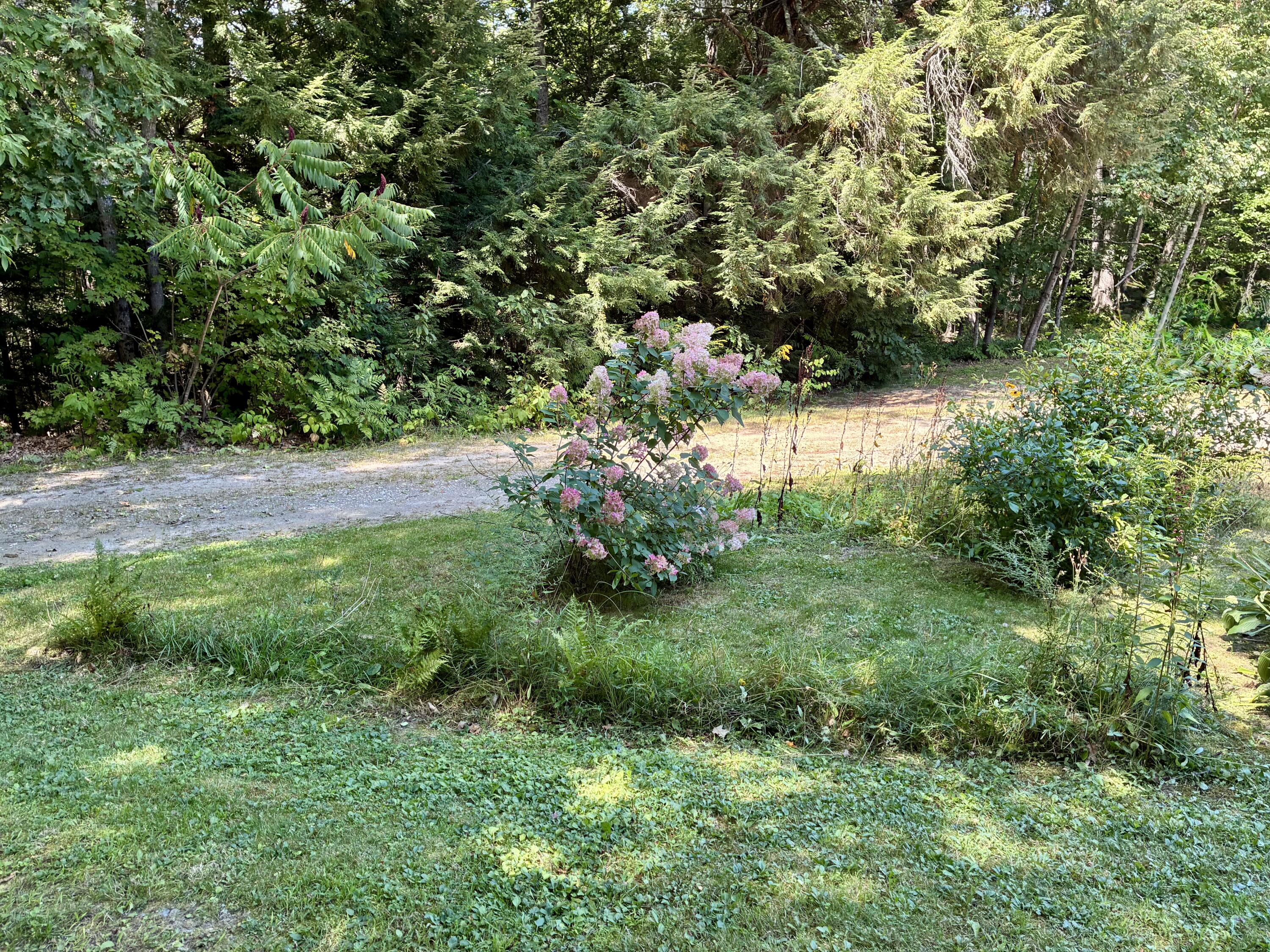 main property photo 39