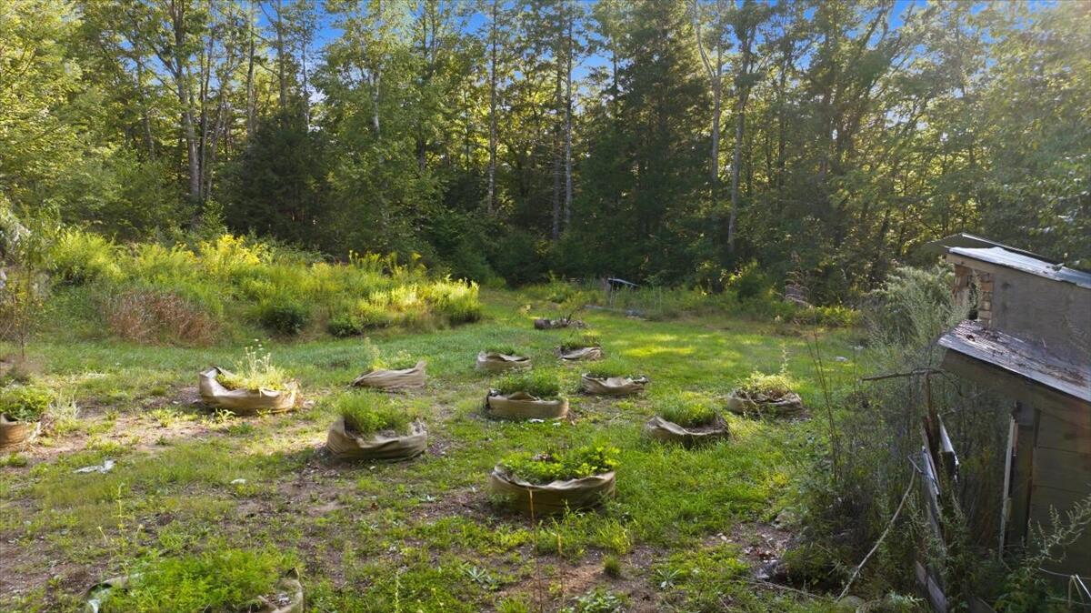 main property photo 57
