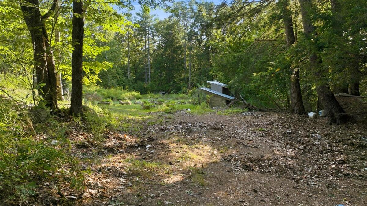 main property photo 58