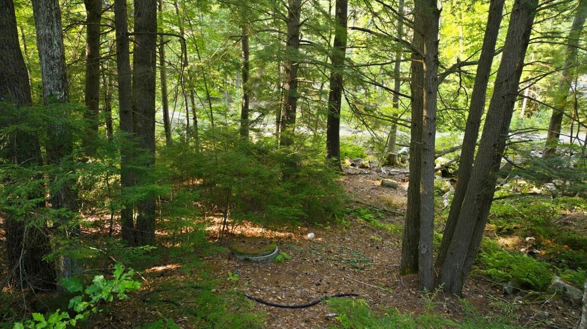 main property photo 59