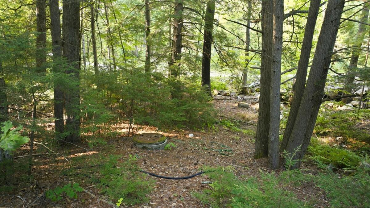 main property photo 60