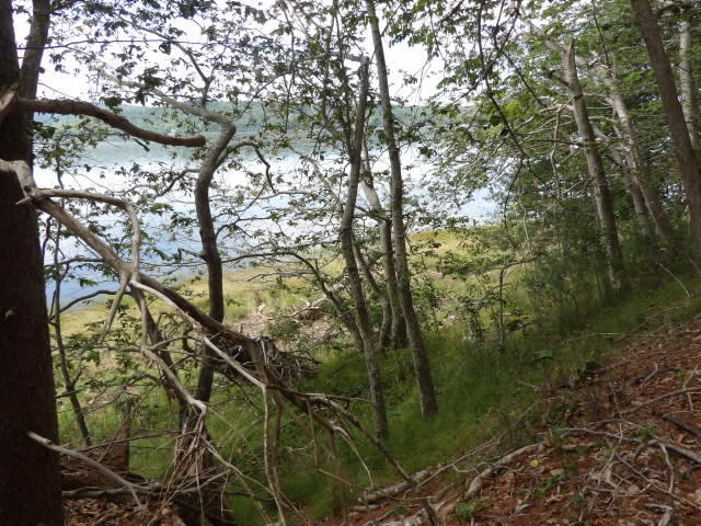 main property photo 29