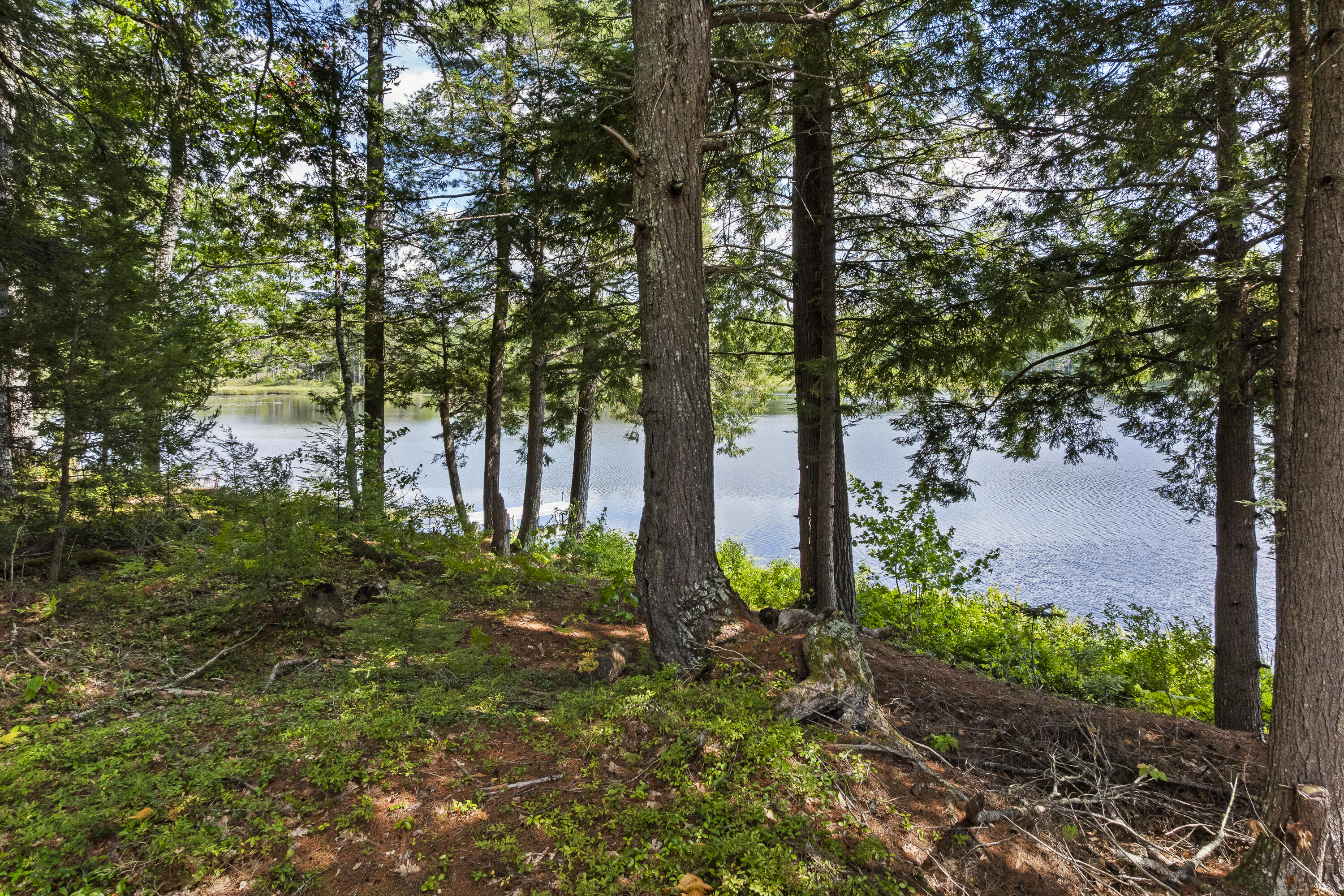 main property photo 68