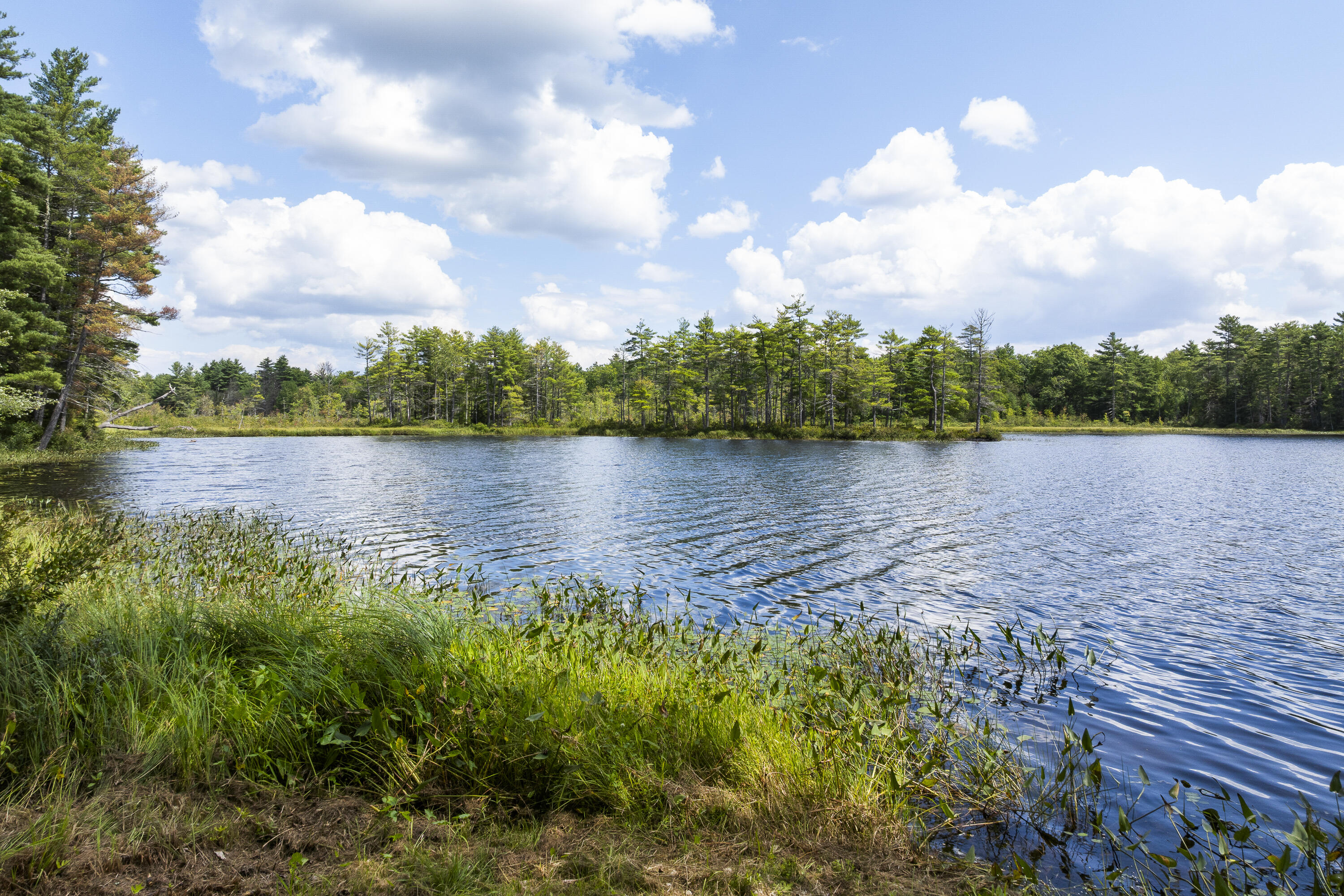 main property photo 71