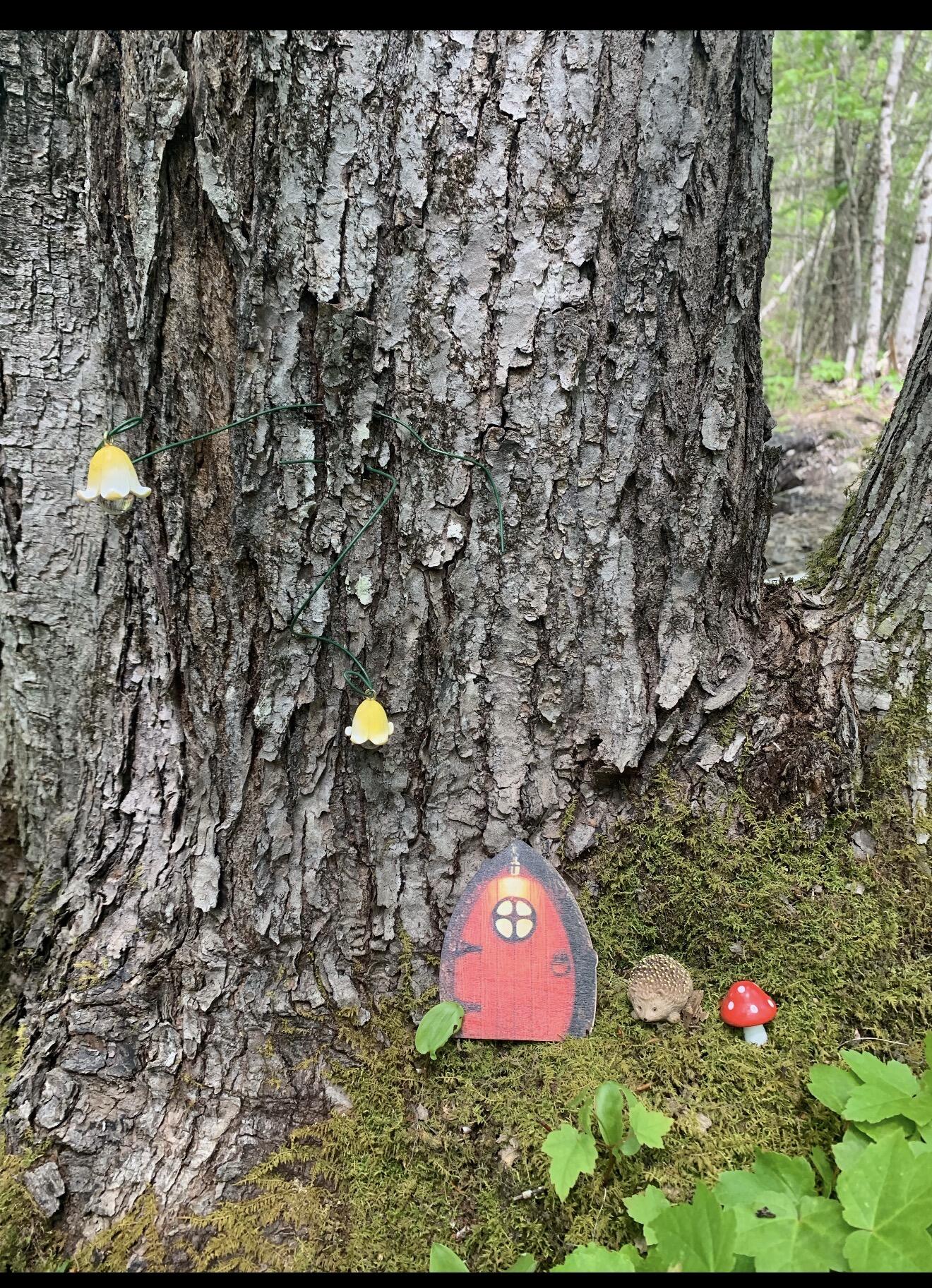 main property photo 12