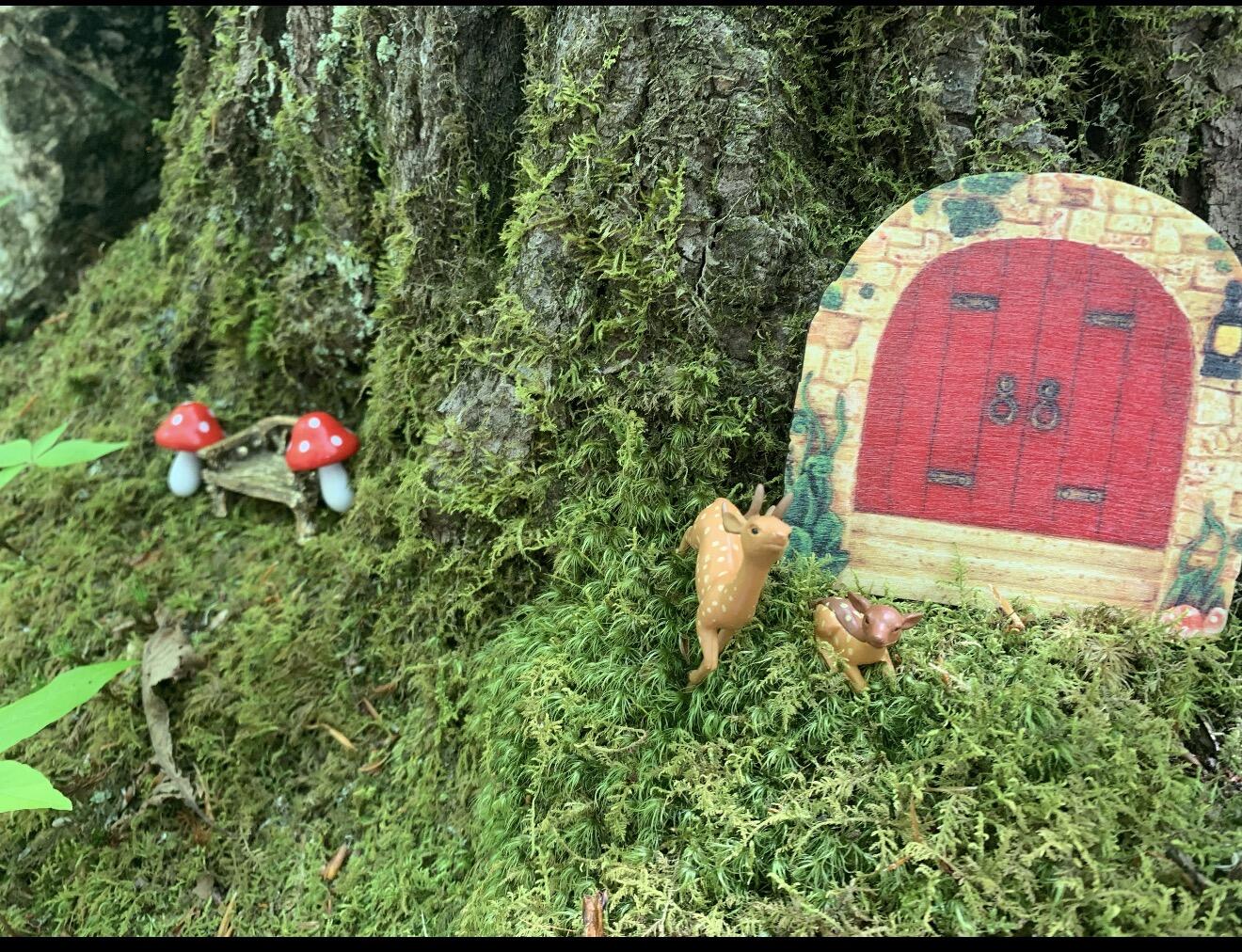 main property photo 13