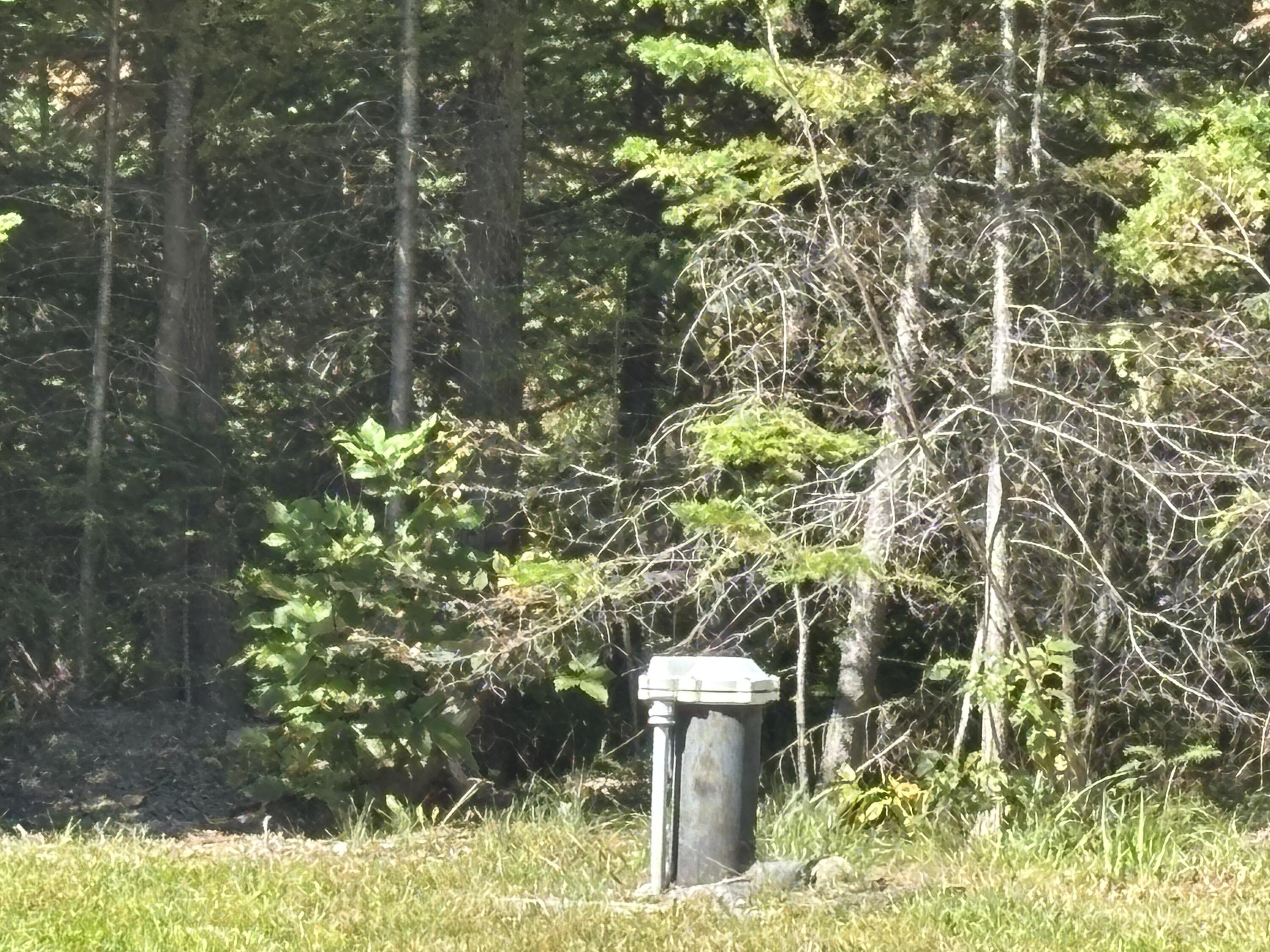 main property photo 61