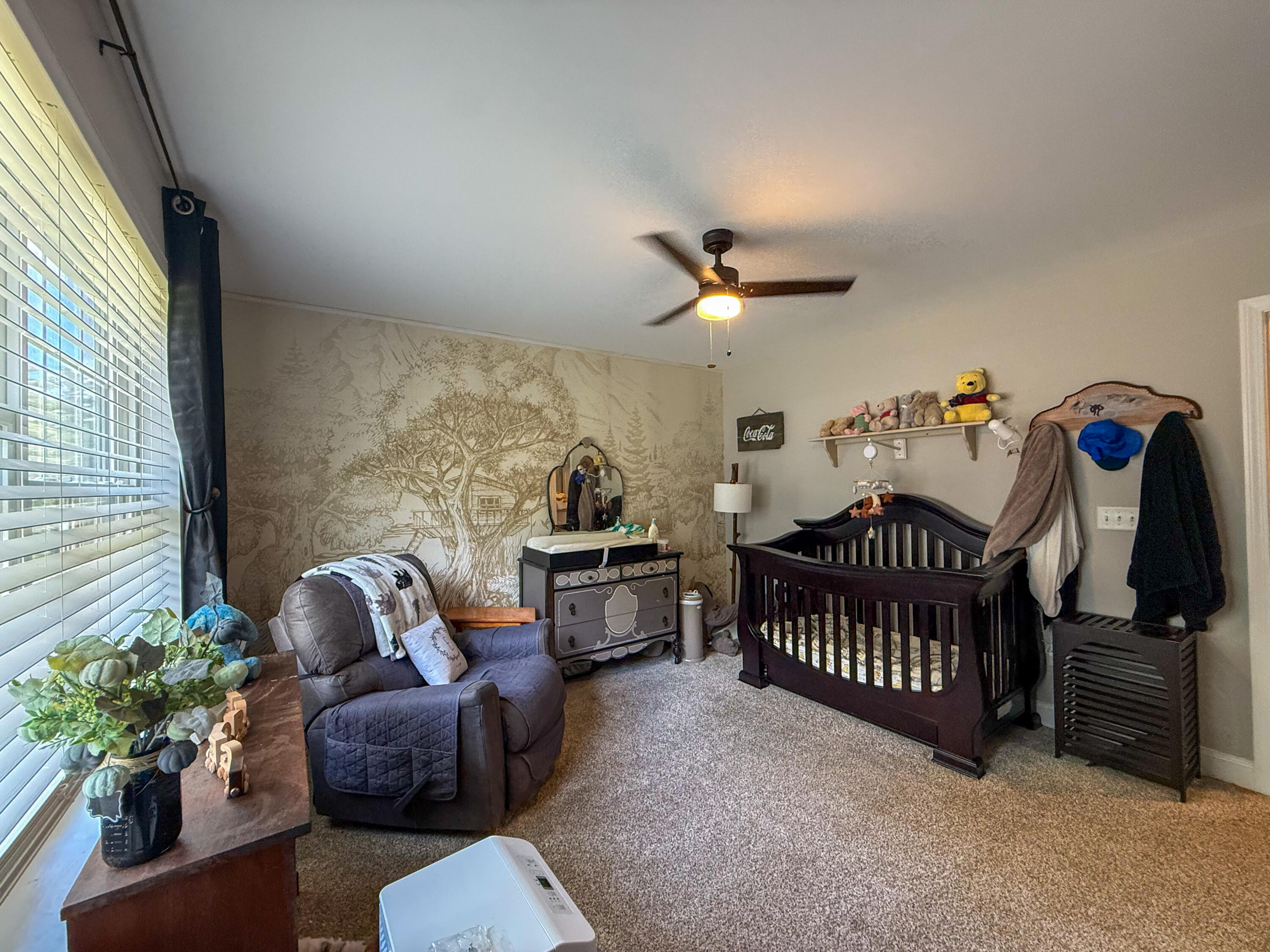 main property photo 52
