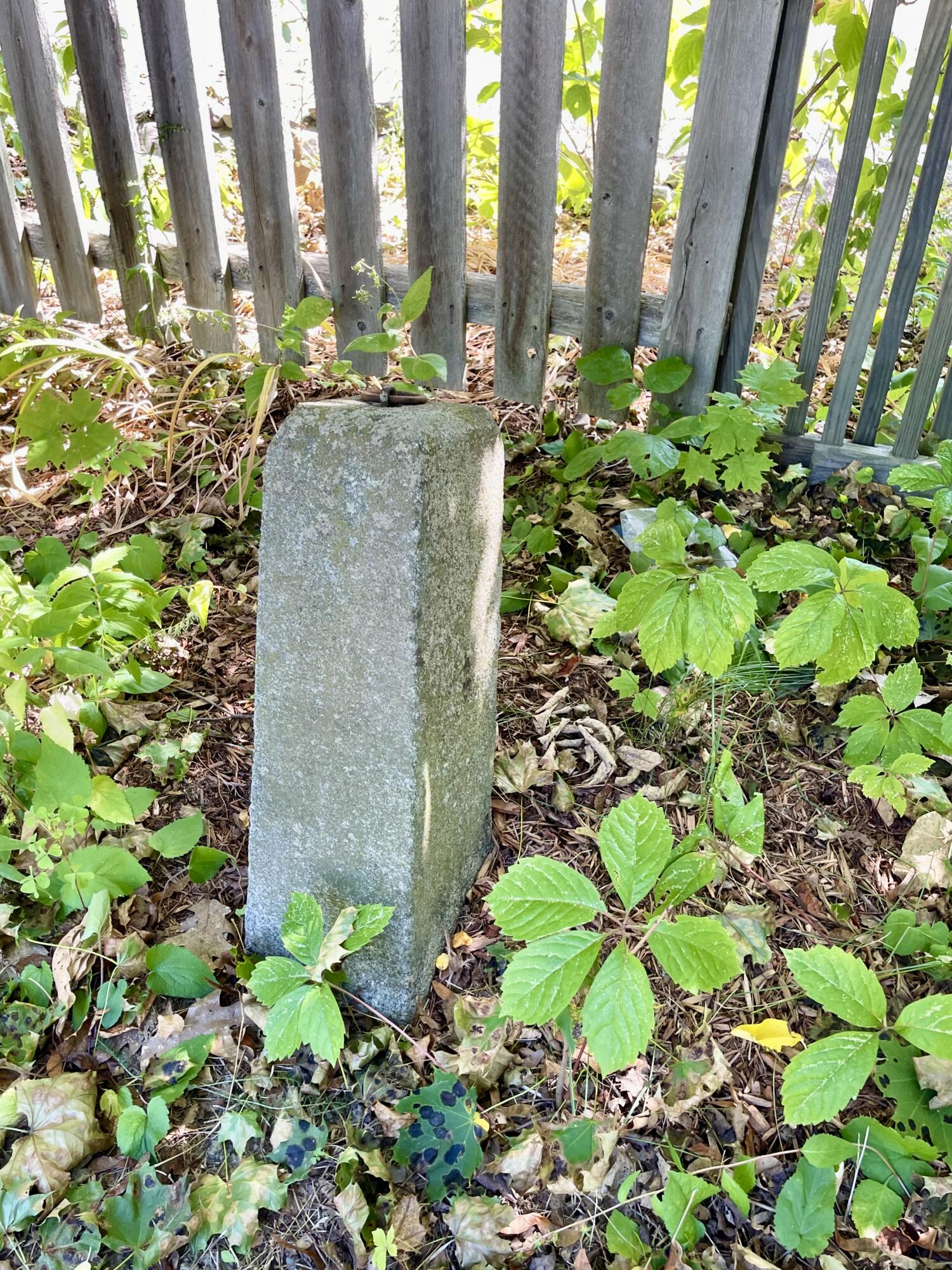 main property photo 40