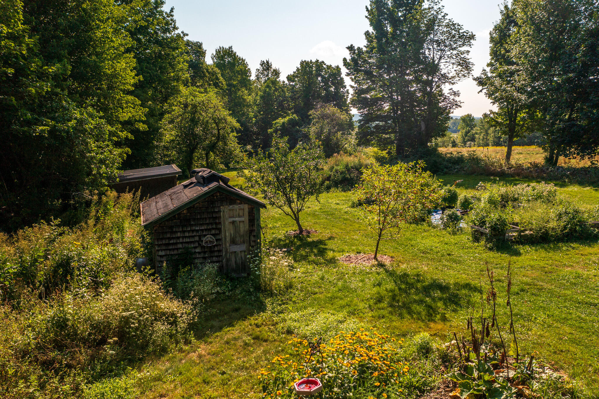 main property photo 62