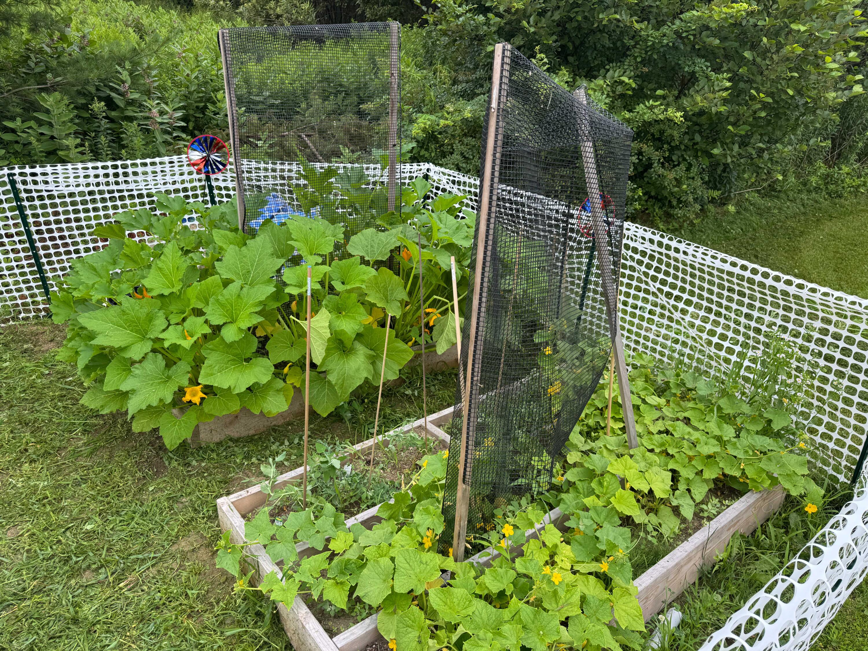 main property photo 75