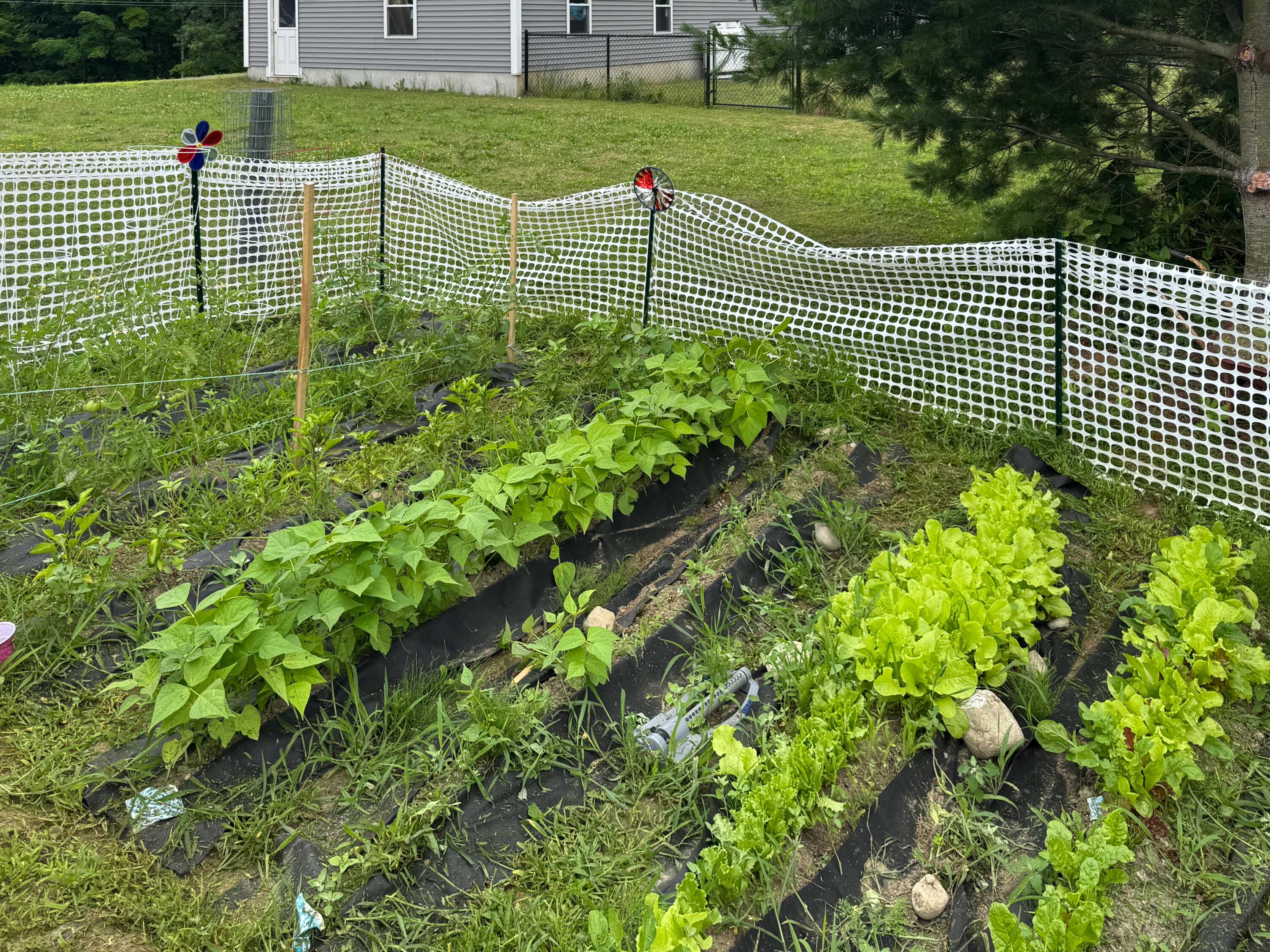 main property photo 76