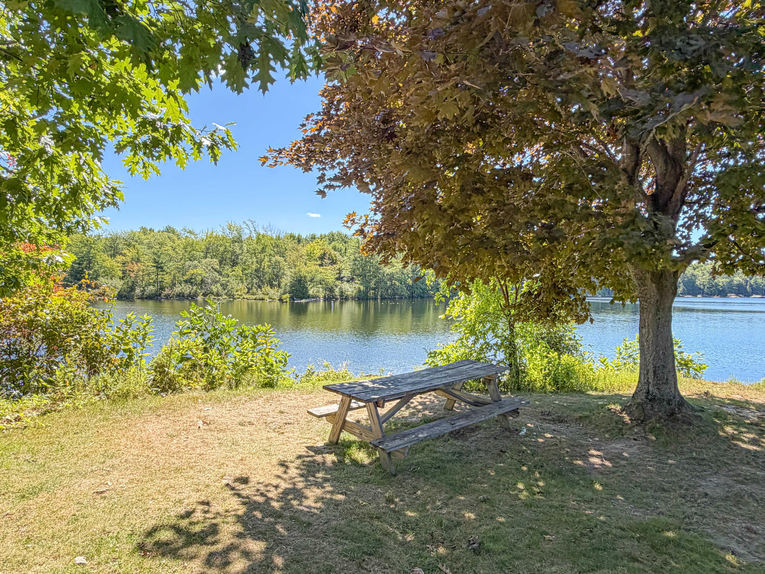 main property photo 83