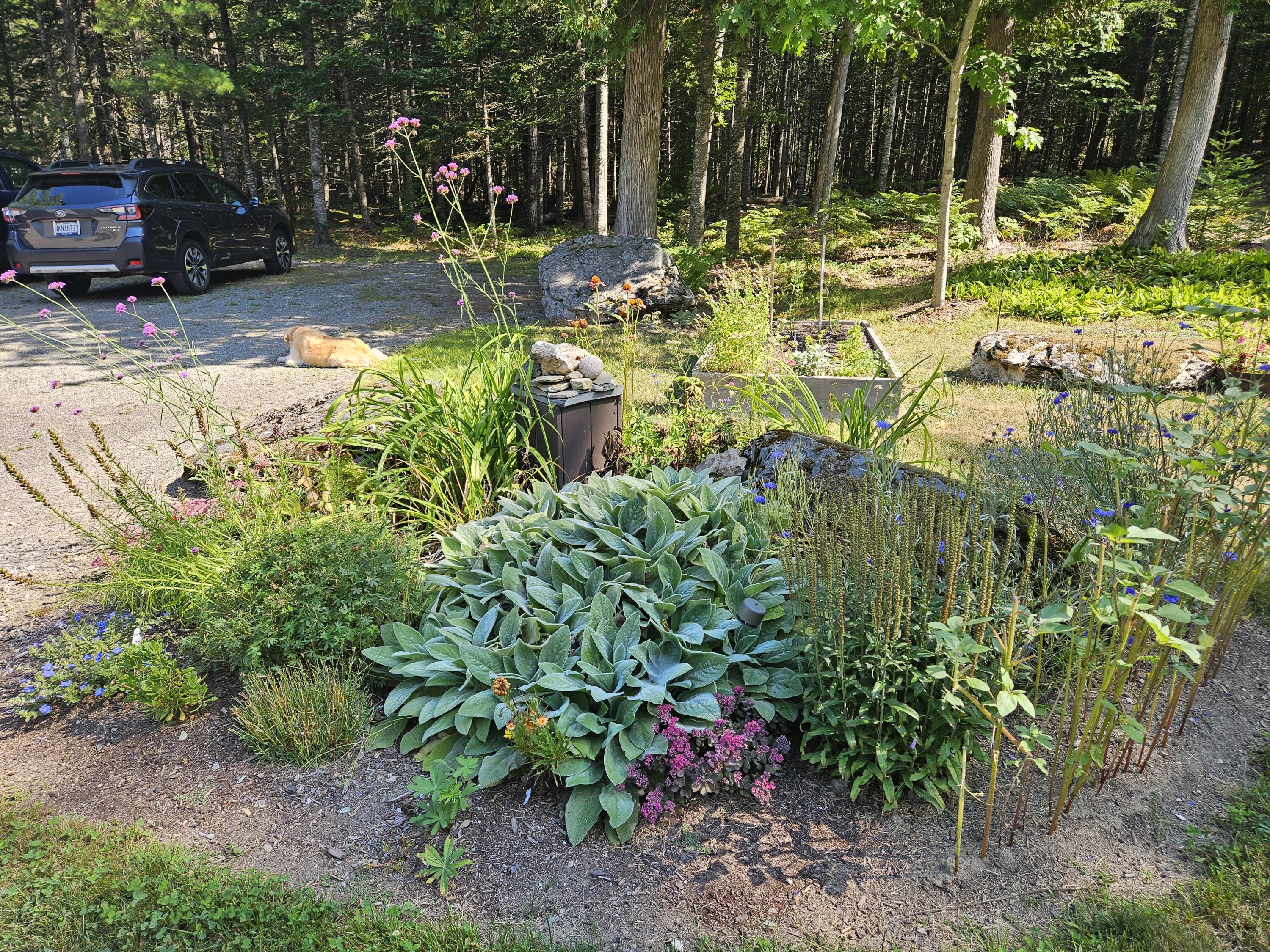 main property photo 41