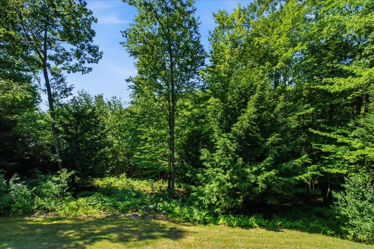 main property photo 91