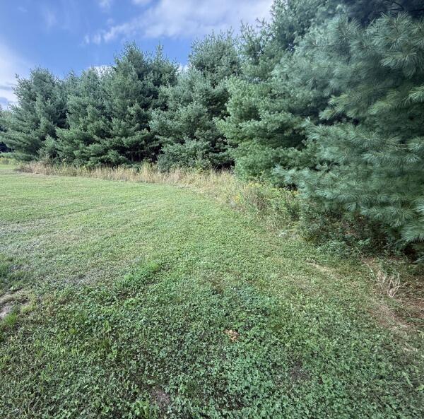 main property photo 13