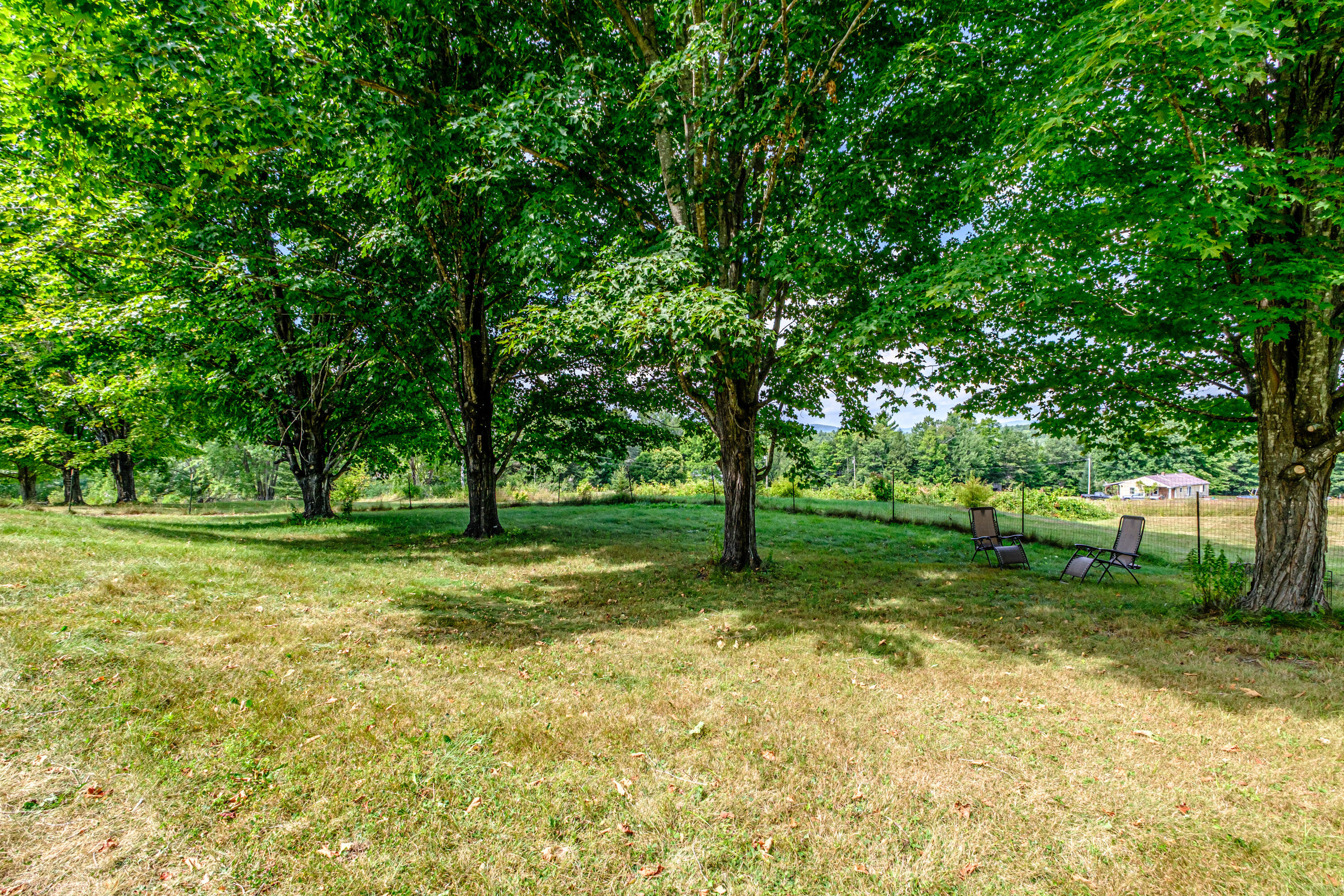 main property photo 94