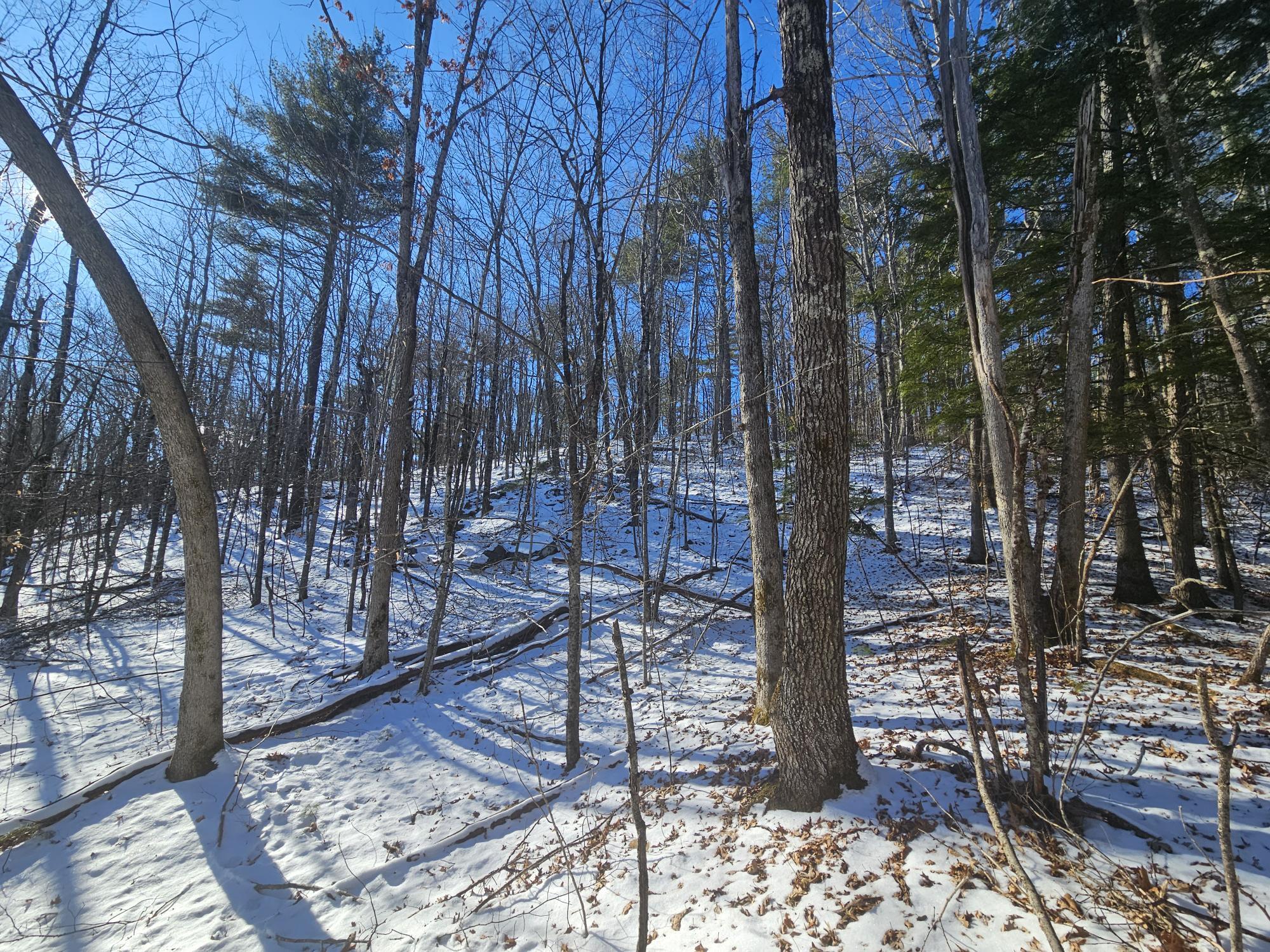 main property photo 28