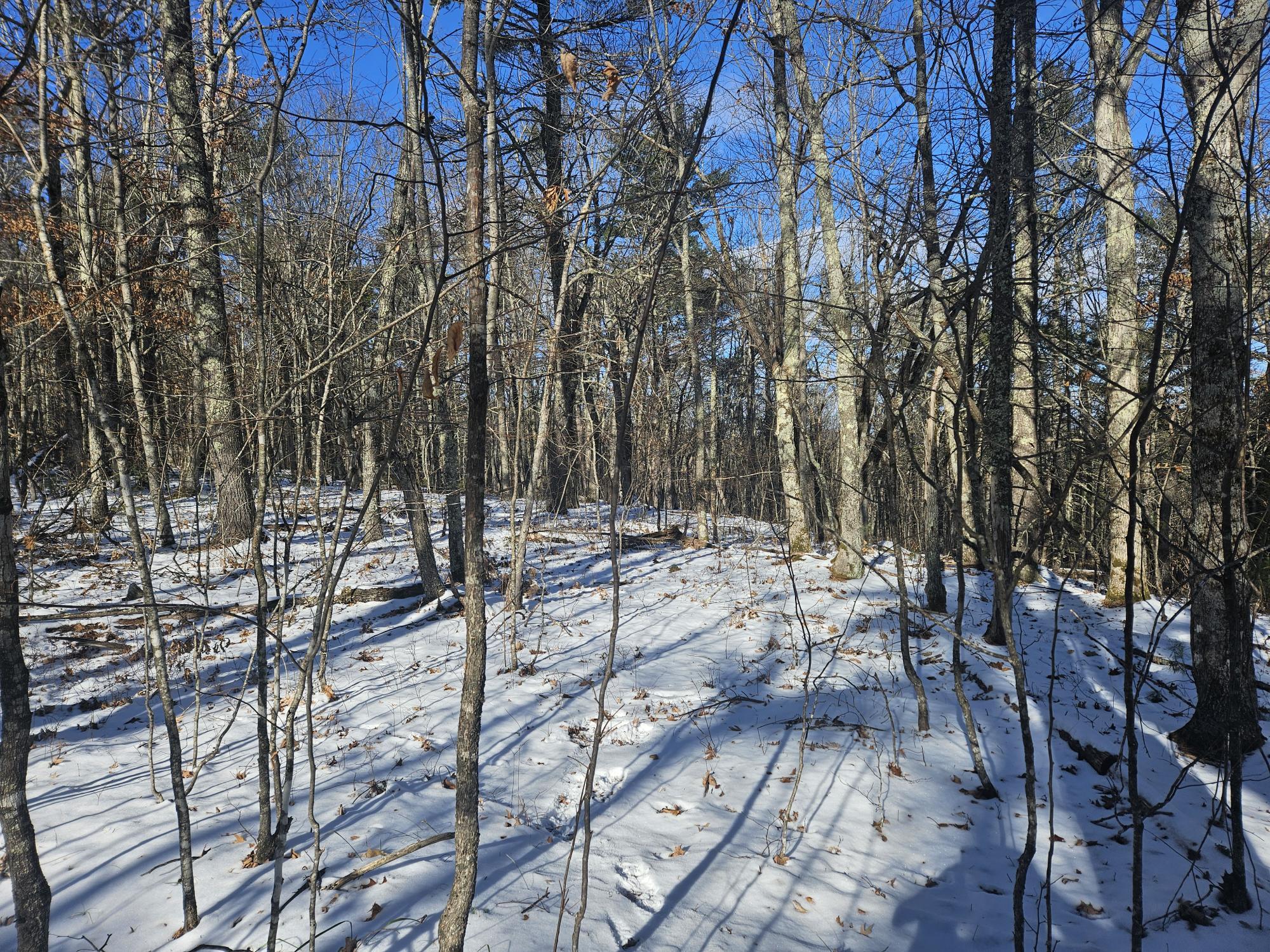 main property photo 32