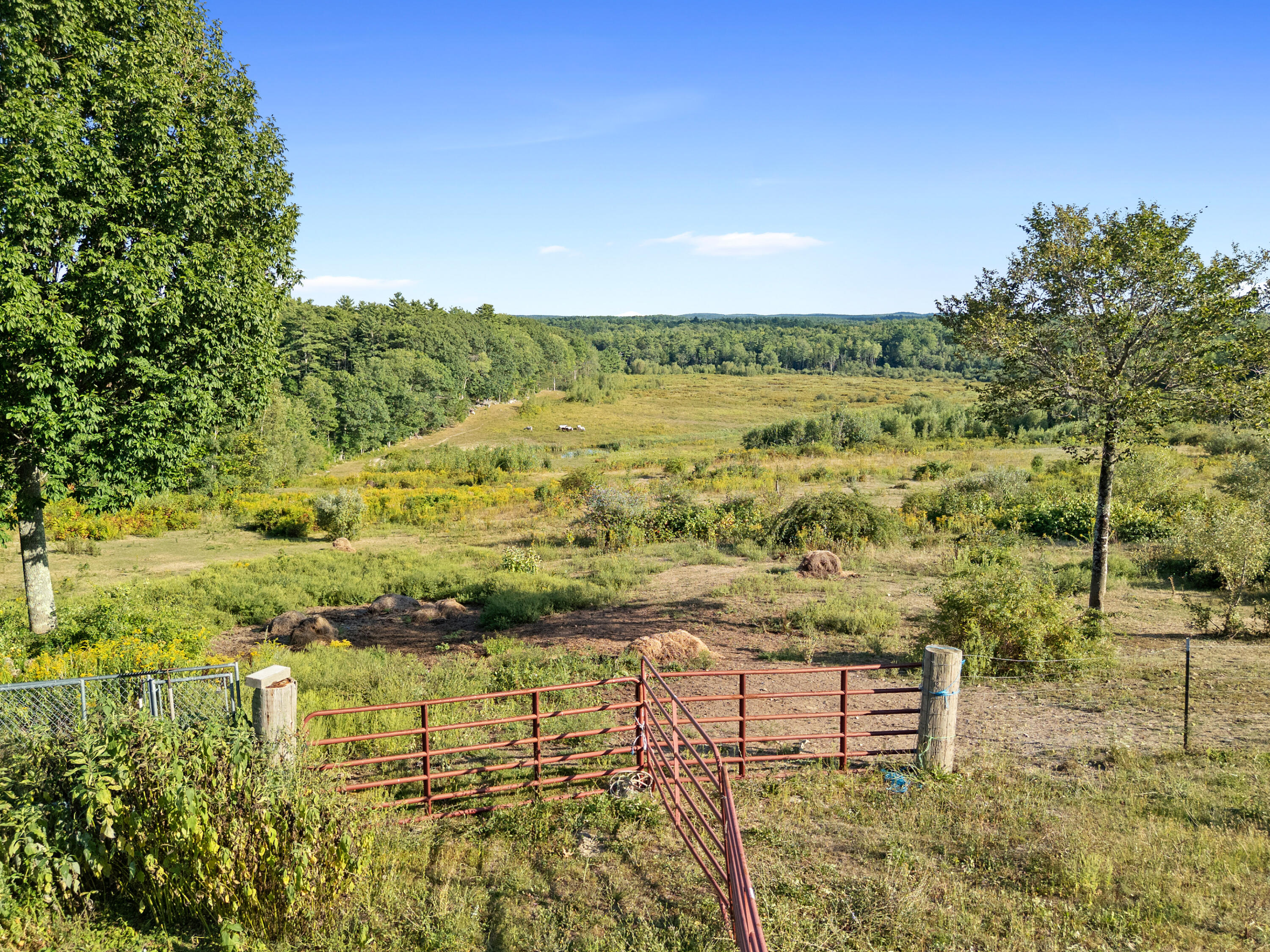 main property photo 56