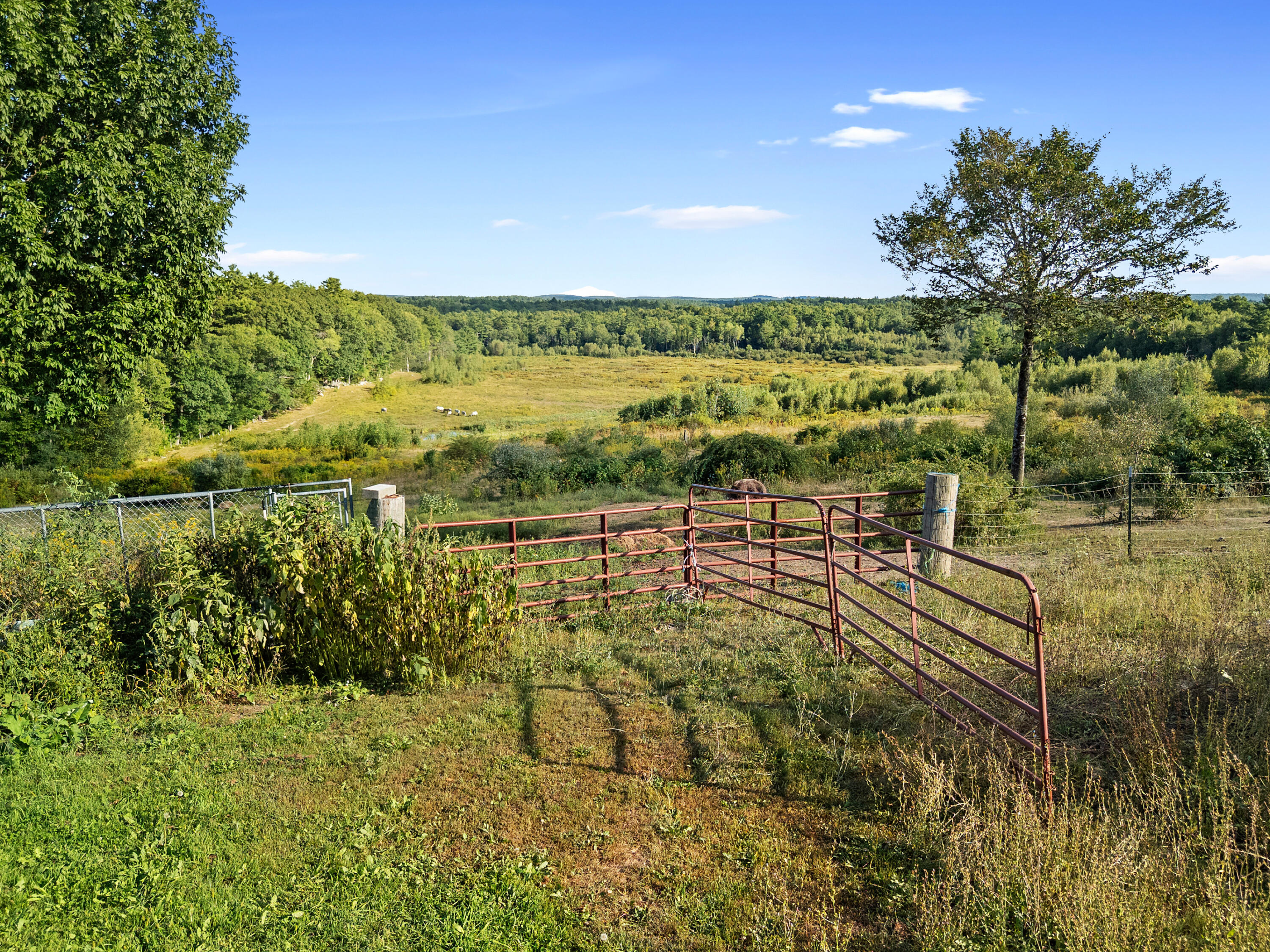 main property photo 58