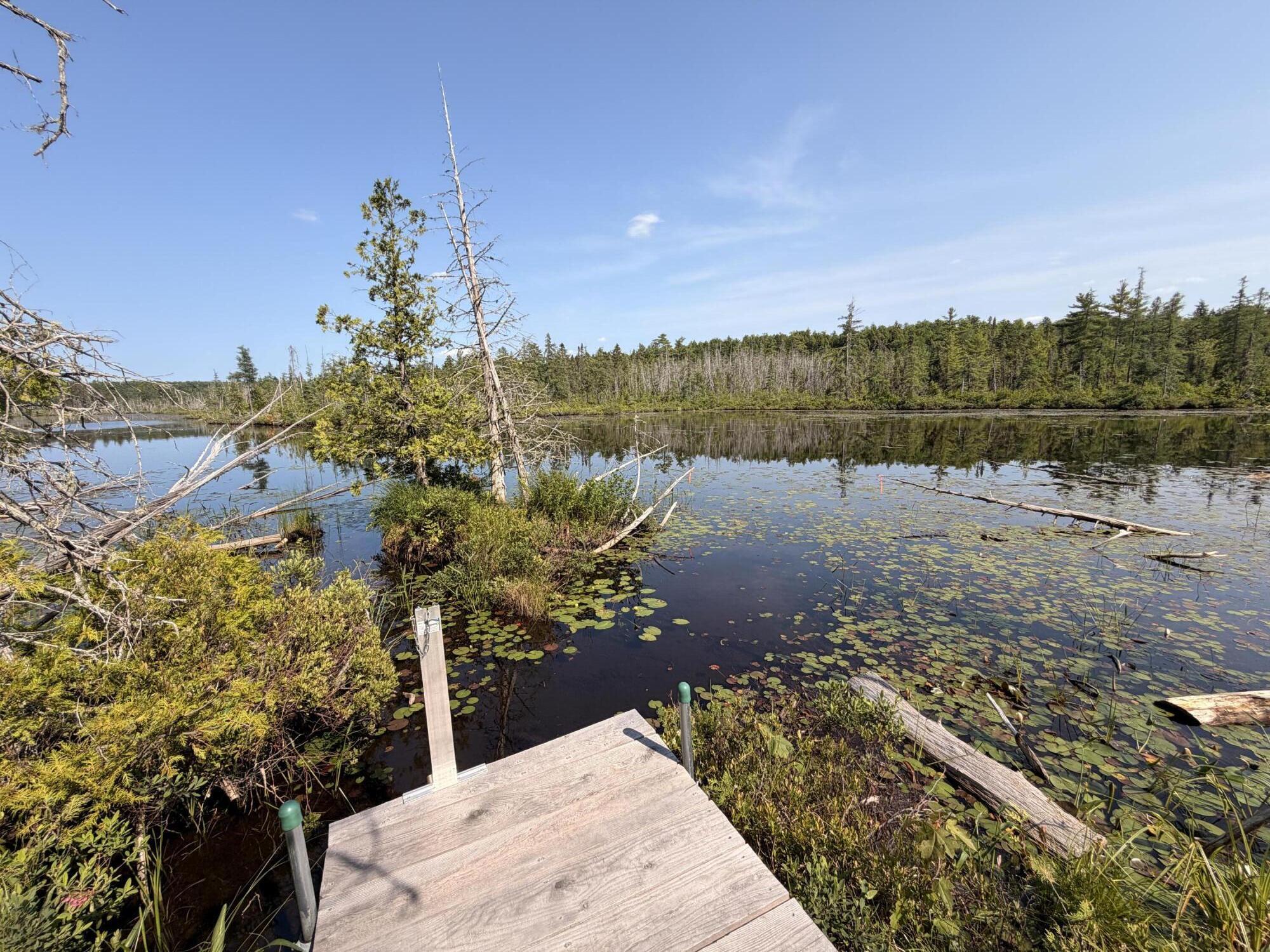 main property photo 46