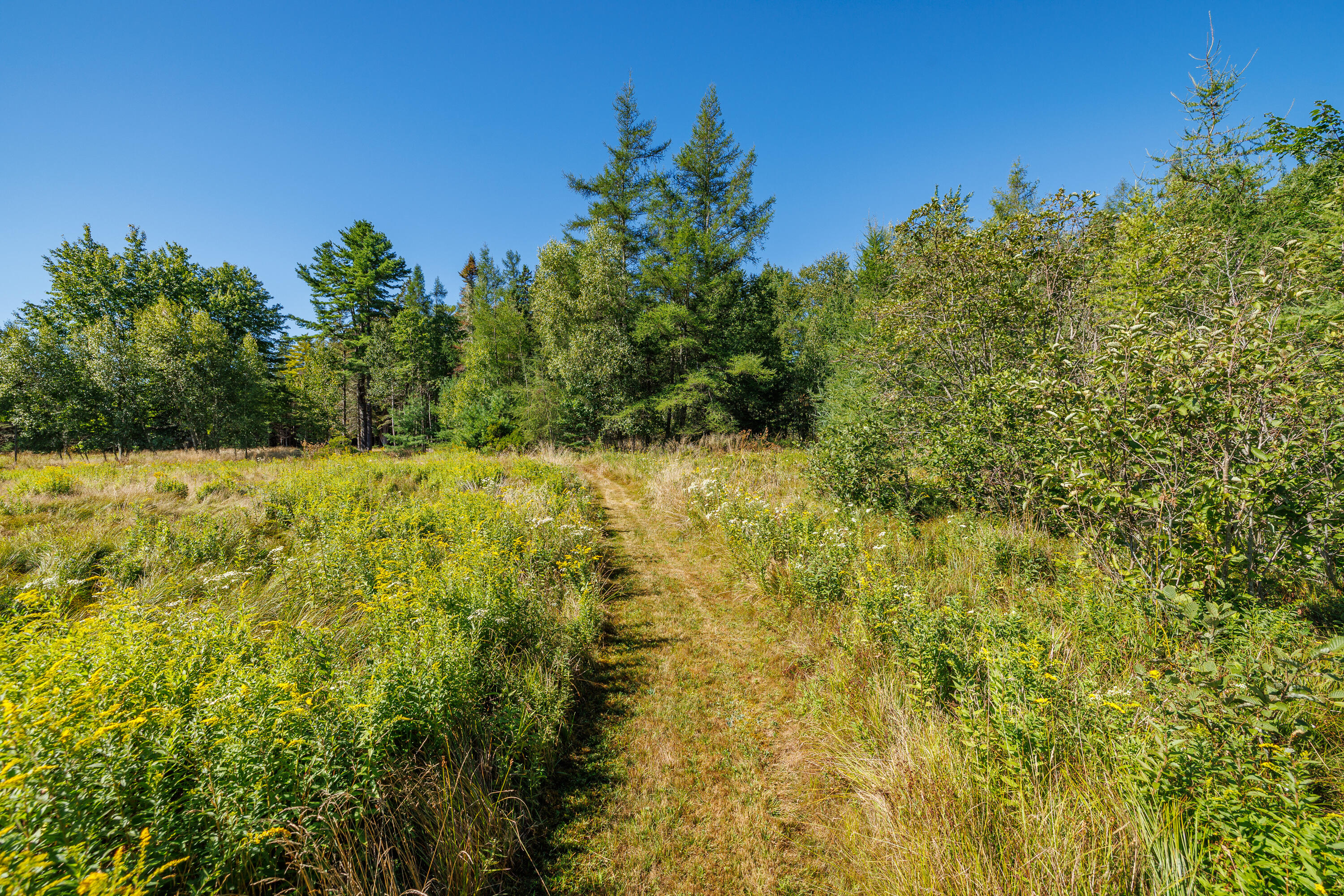 main property photo 73