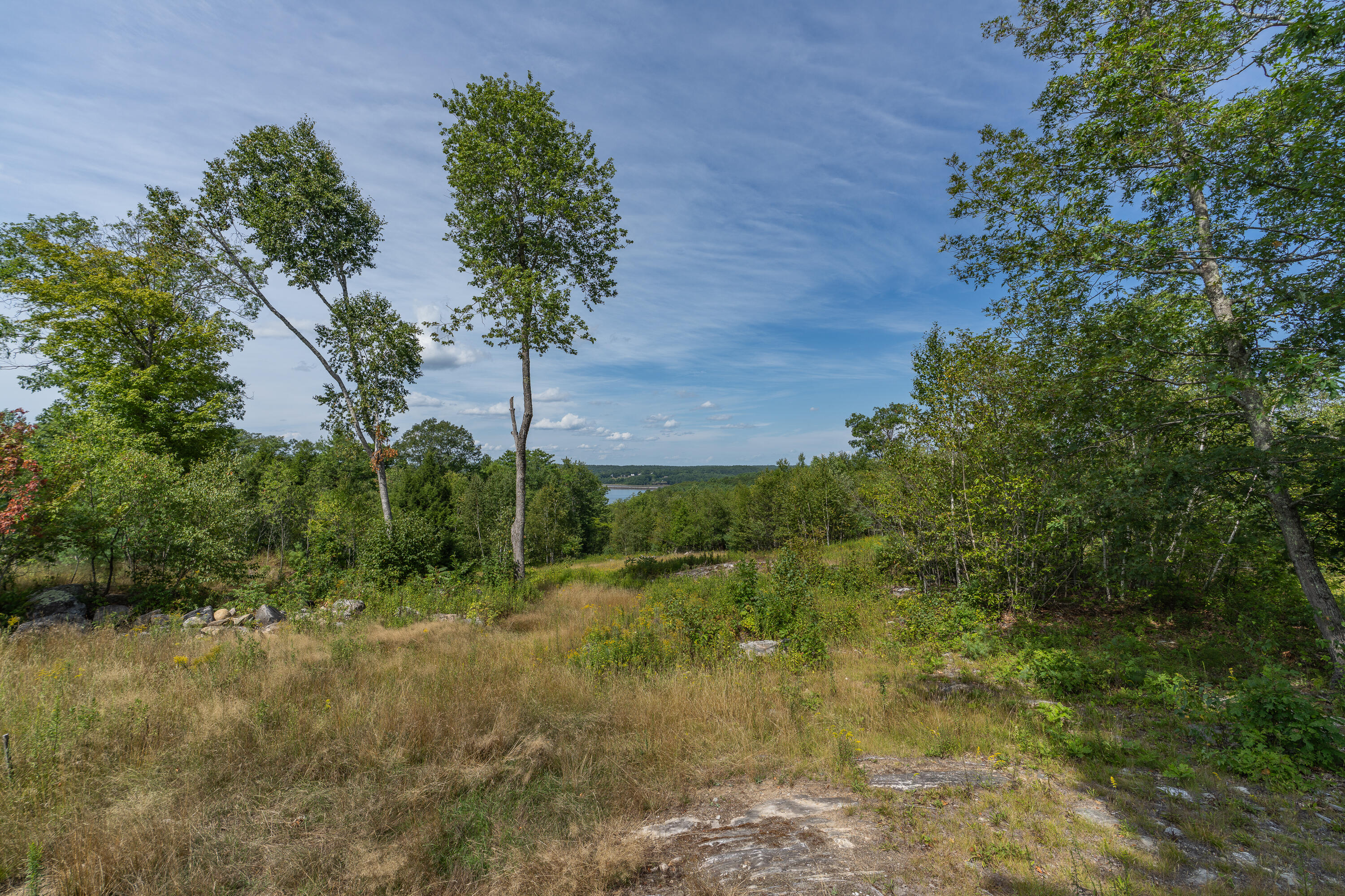 main property photo 100