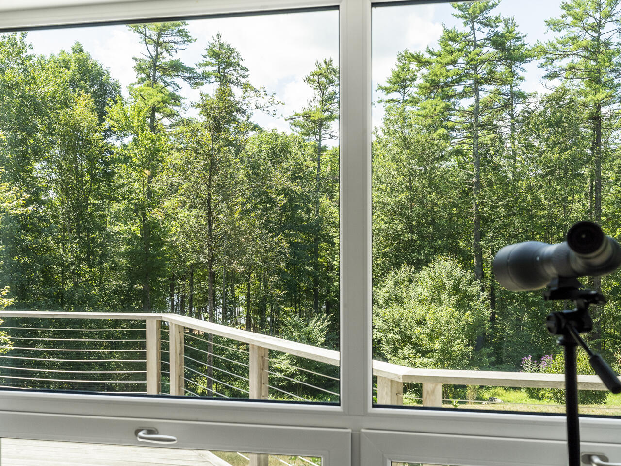 main property photo 49