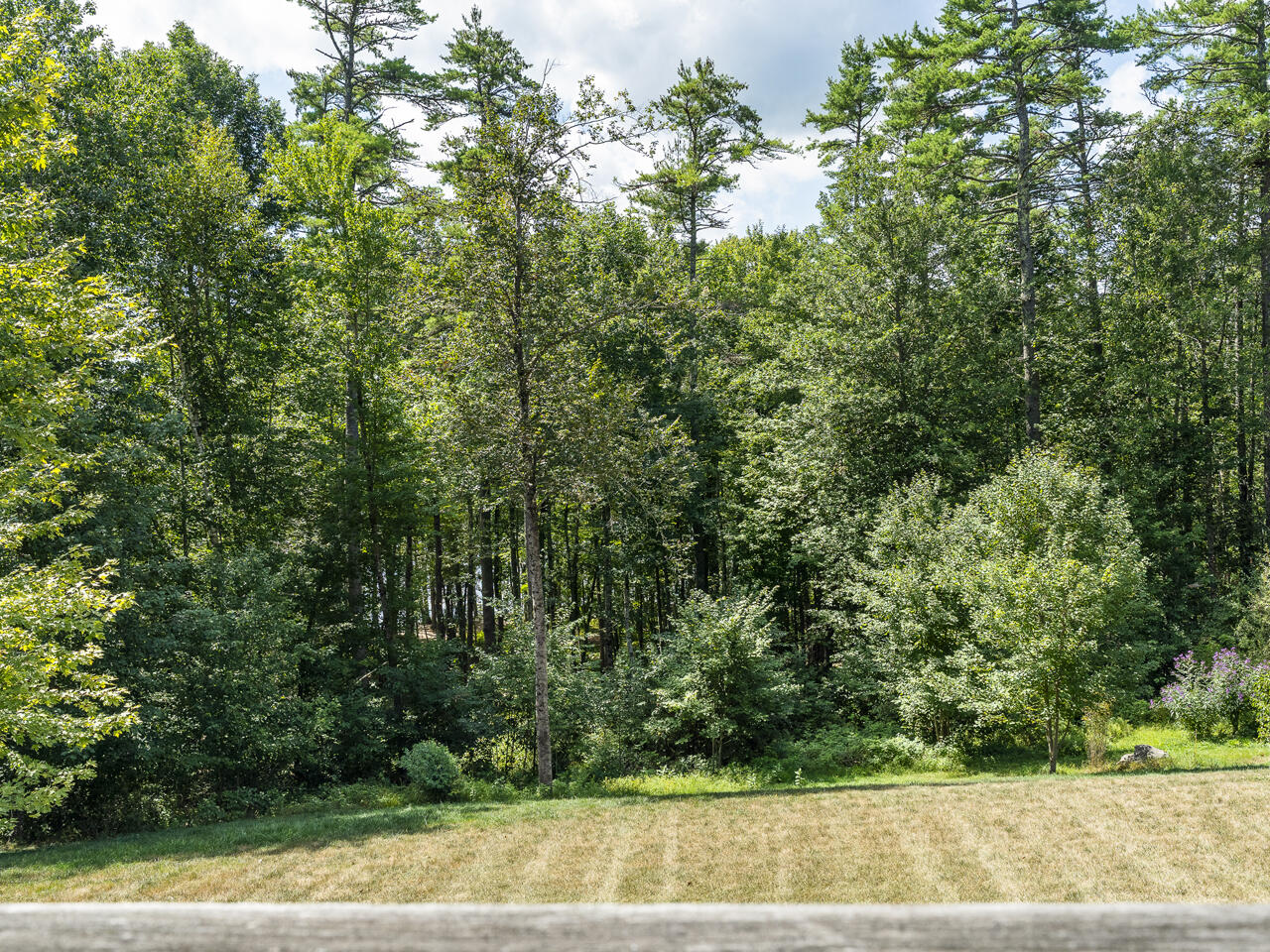 main property photo 59