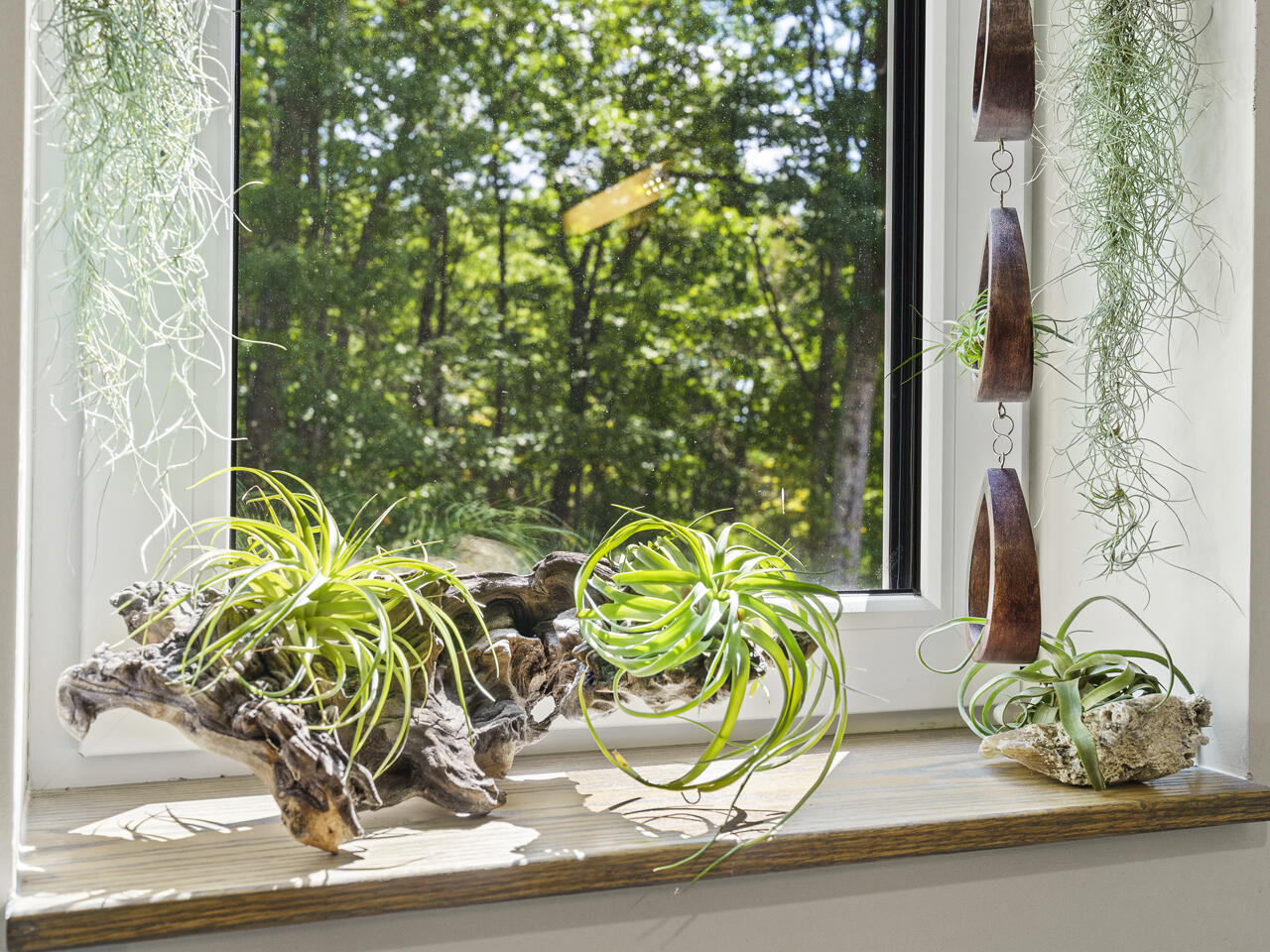 main property photo 72