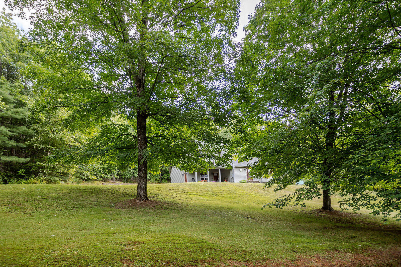 main property photo 69